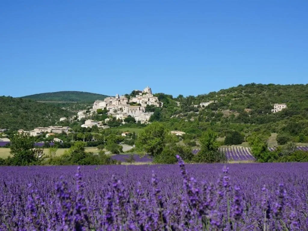 Property building in La Buisse