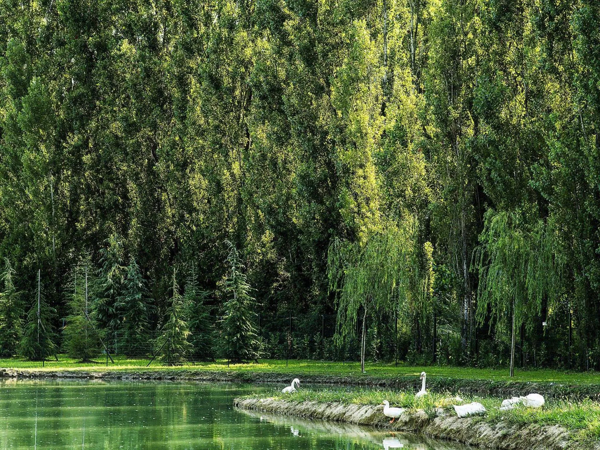 Other in ibis Styles Milano Est Settala