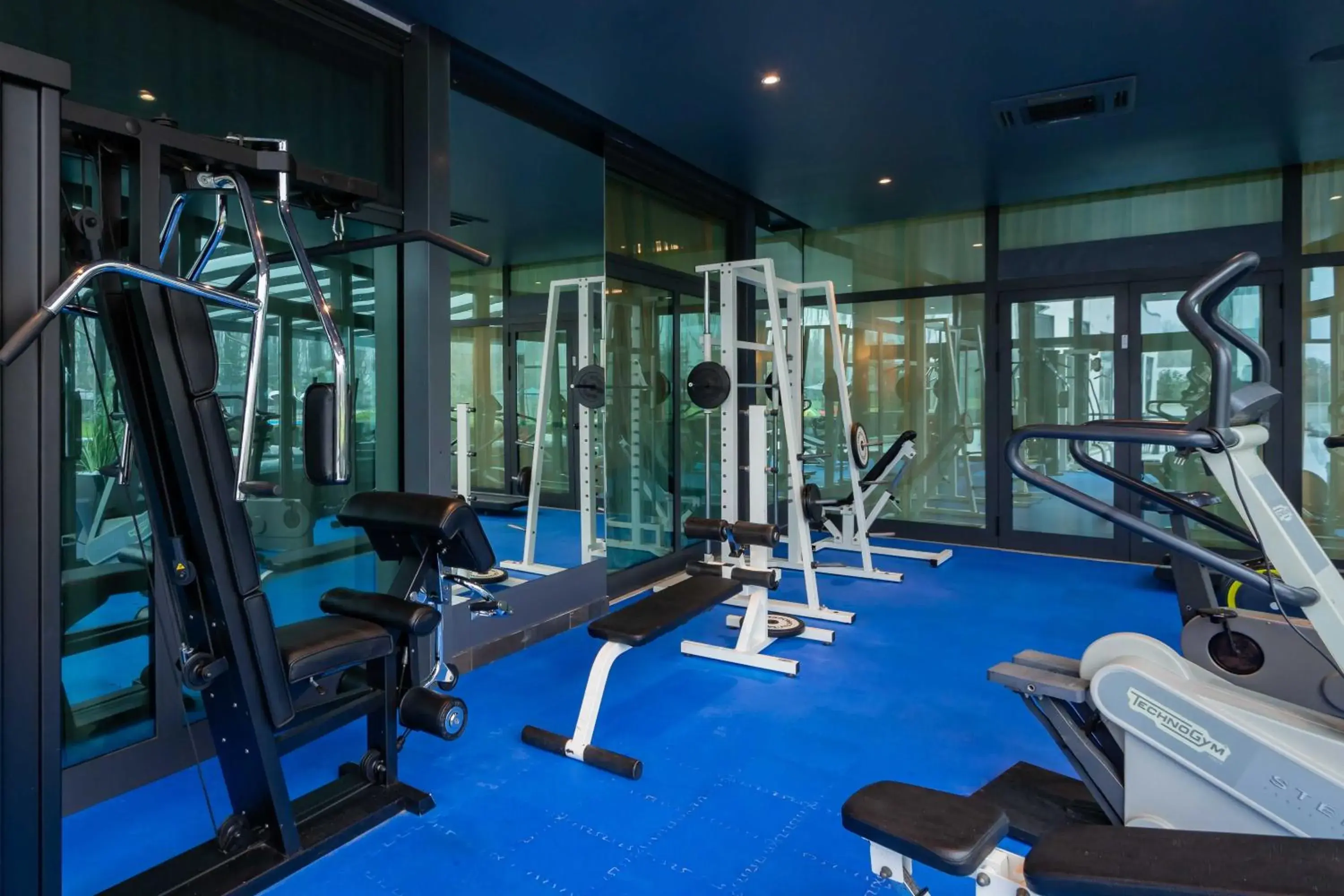 Fitness centre/facilities in ibis Styles Milano Est Settala Fitness centre/facilities in ibis Styles Milano Est Settala