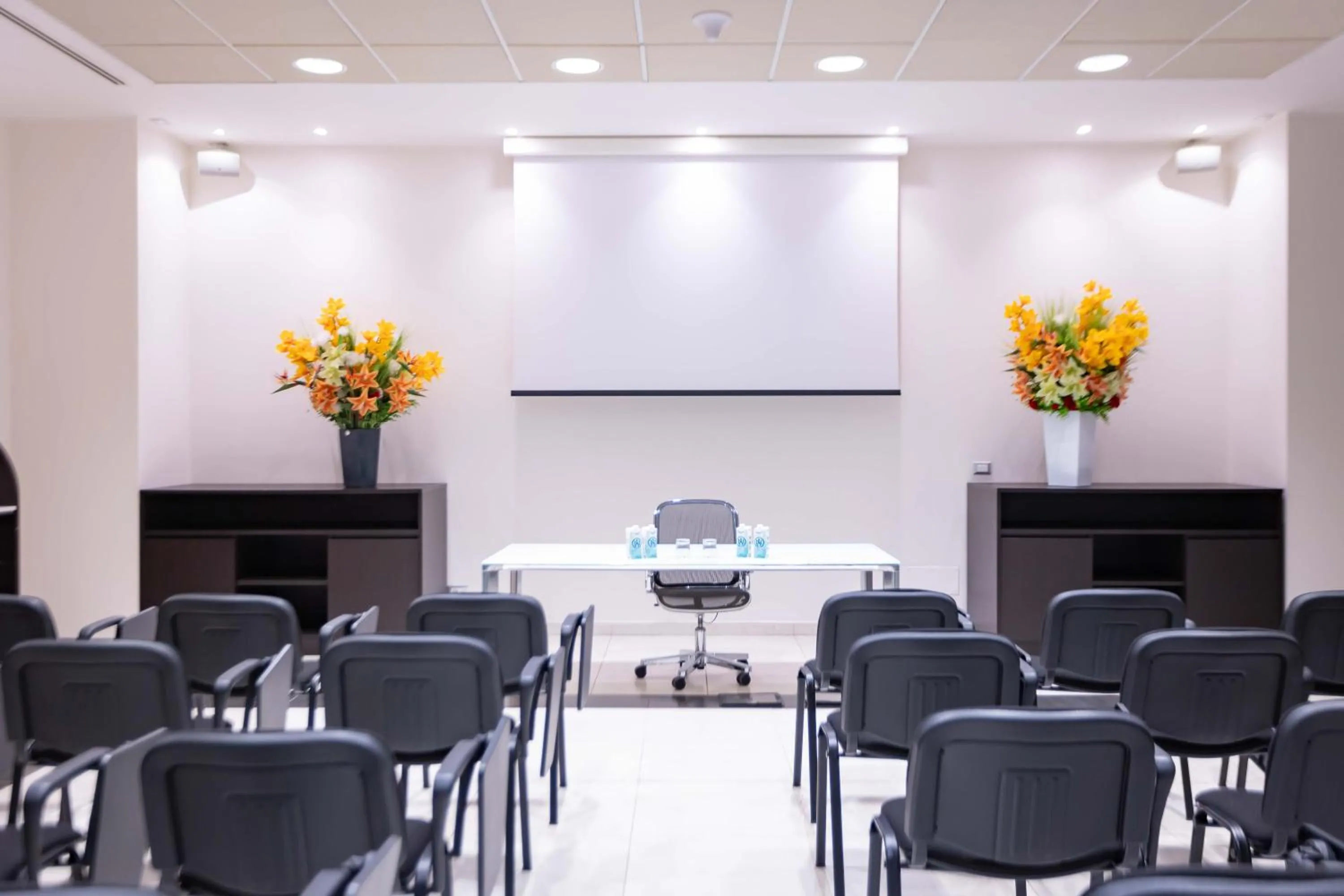 Meeting/conference room in ibis Styles Milano Est Settala