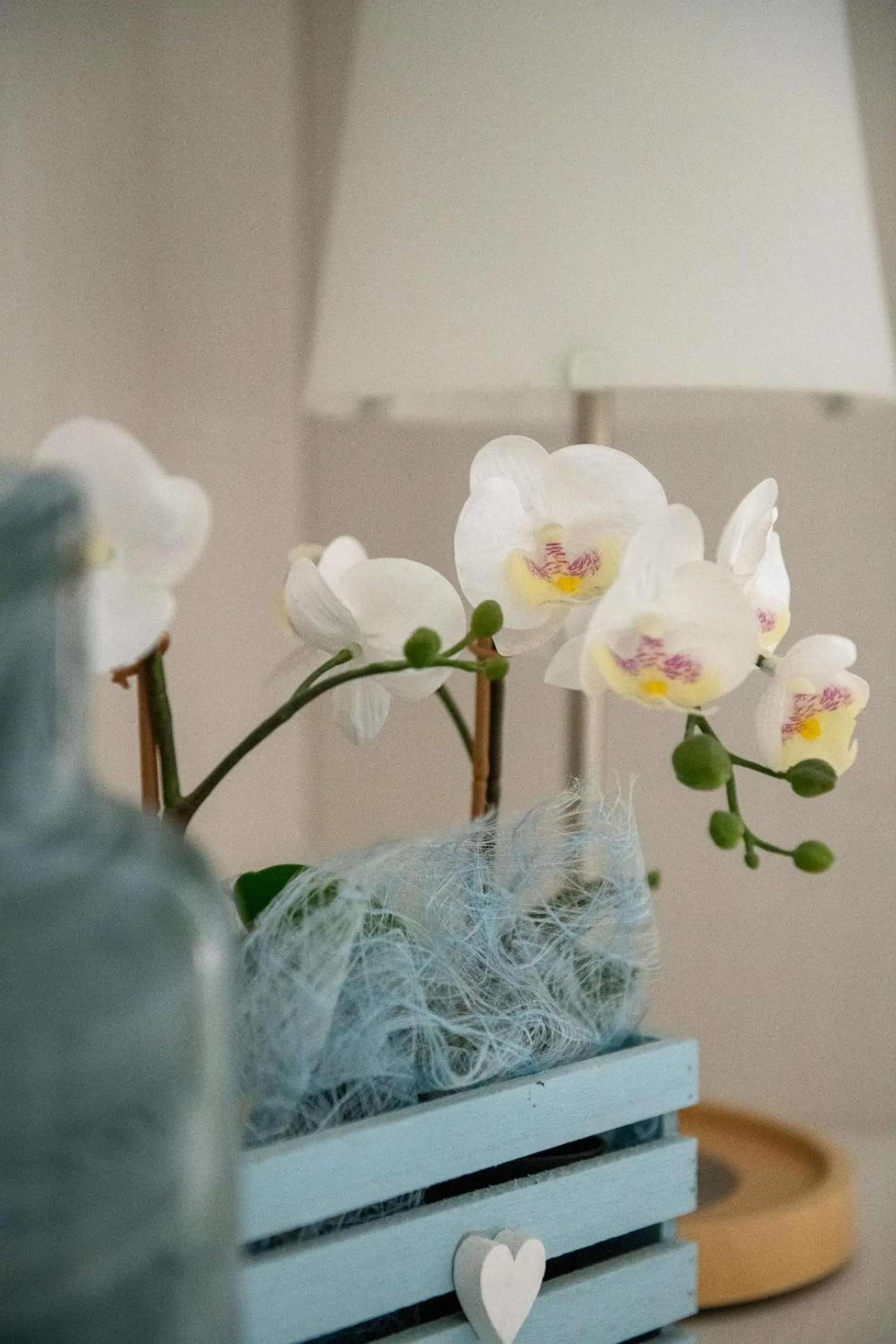 Decorative detail in Hotel Eliseo Riccione