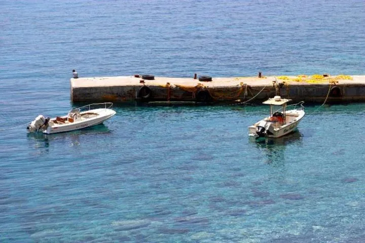 Day in Sweet Corner Masxali