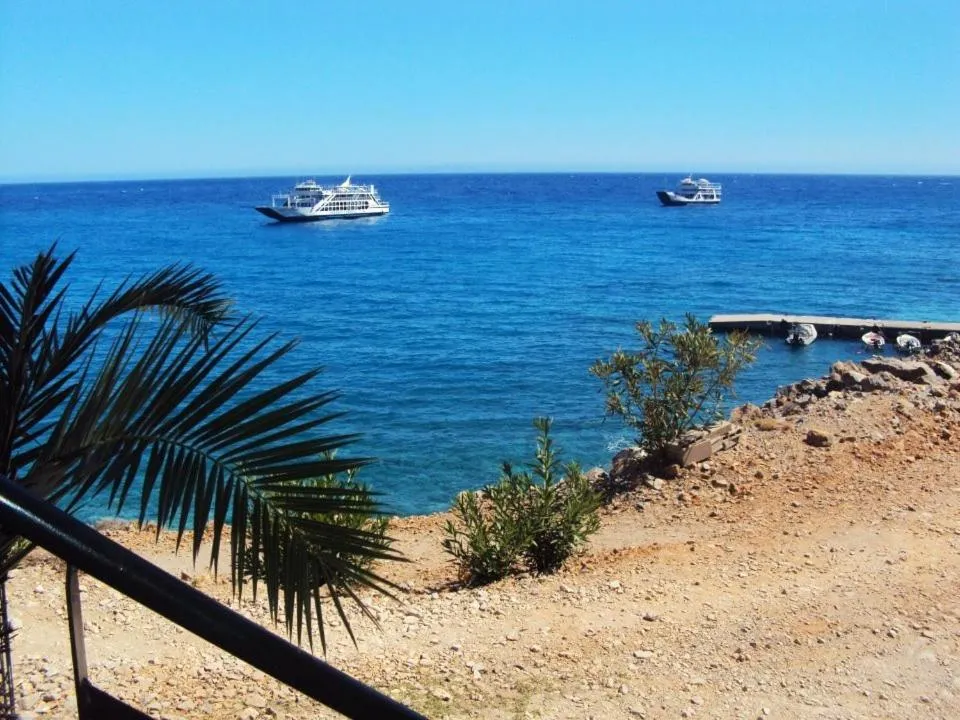 Day in Sweet Corner Masxali