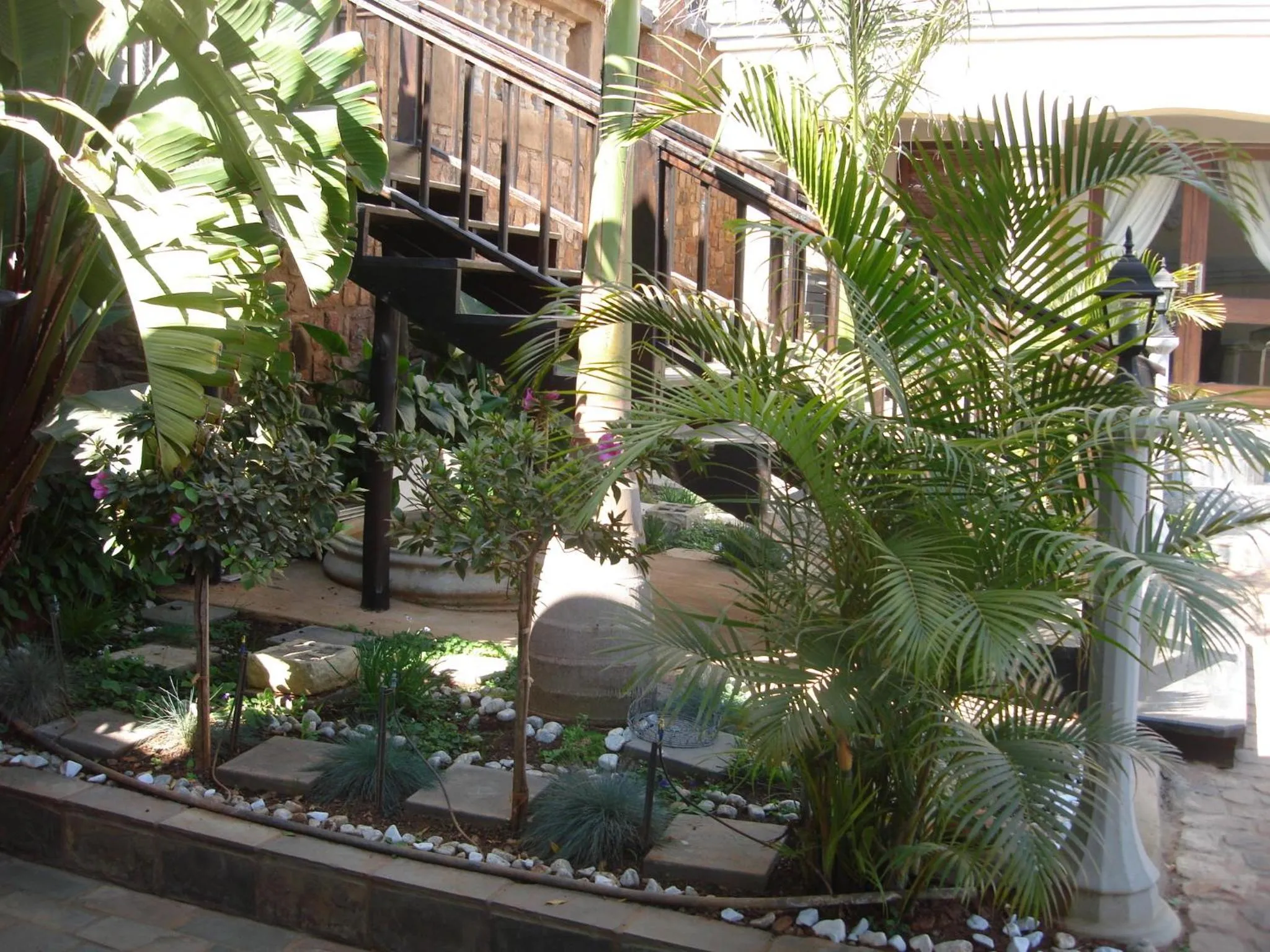 Garden in The Royal Palm B&B