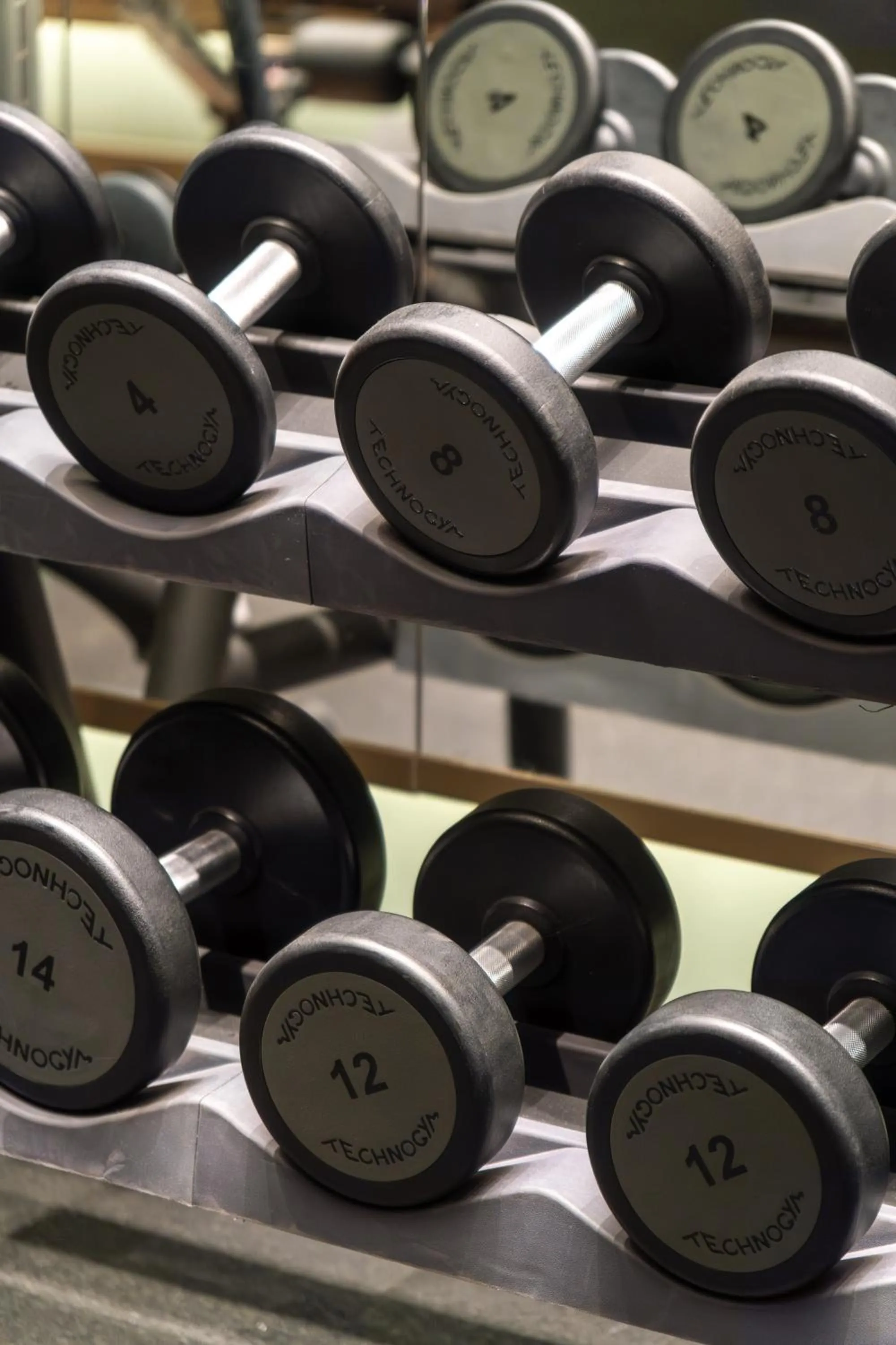 Fitness centre/facilities in Delta Hotels by Marriott Istanbul Levent