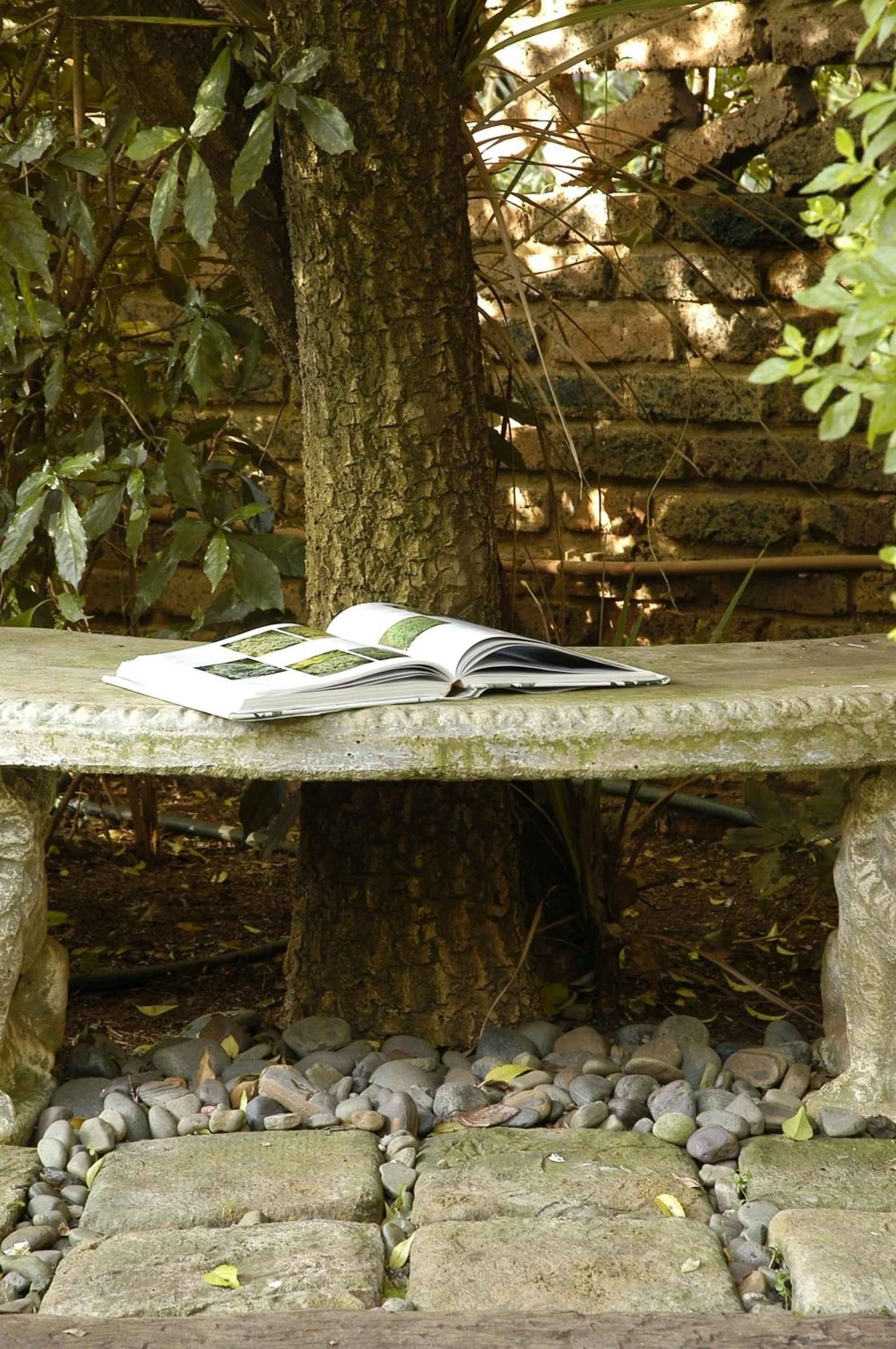 Seating area in Elonda B&B