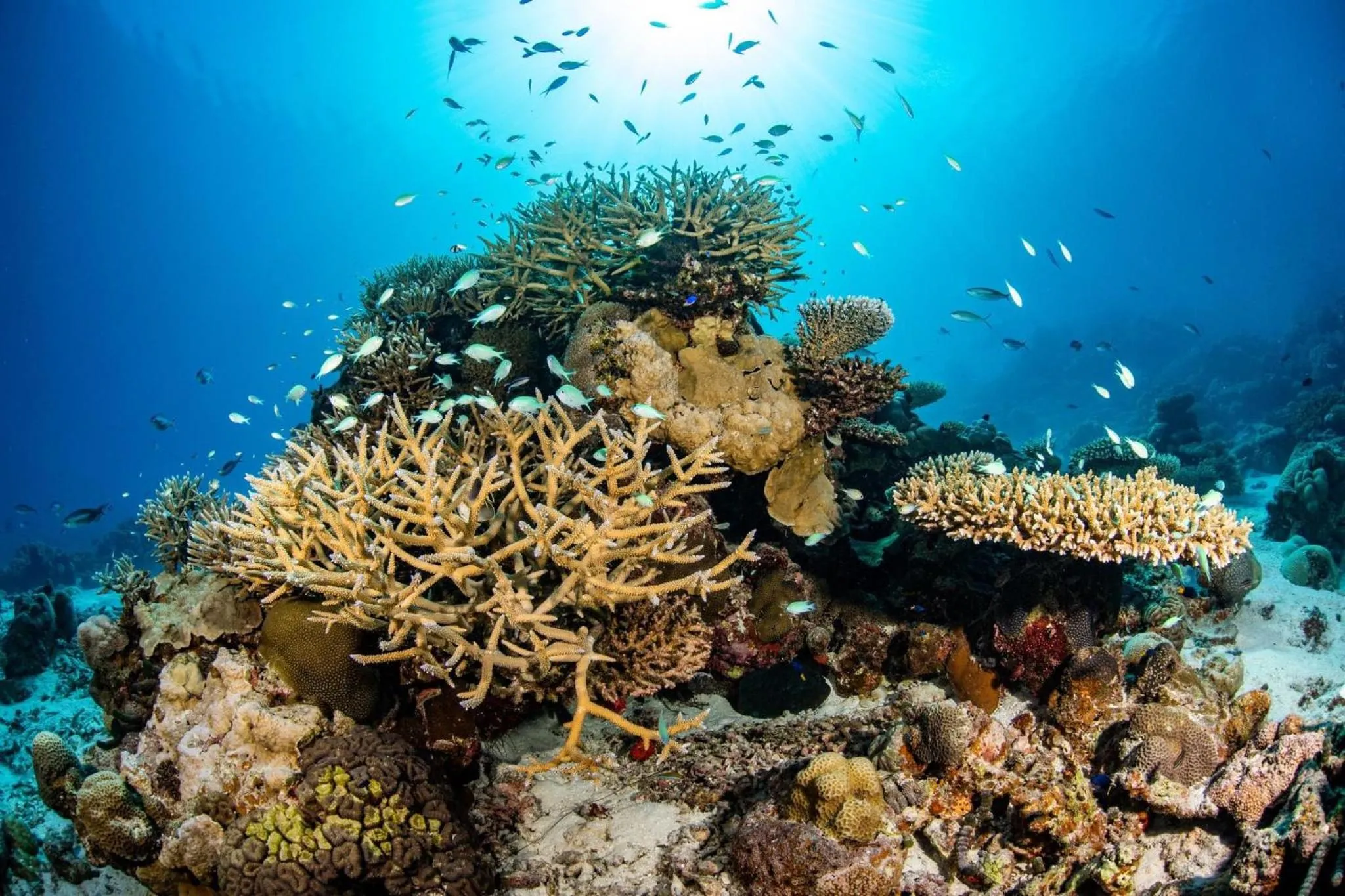 Fishing in Long Beach Laamu Hotel