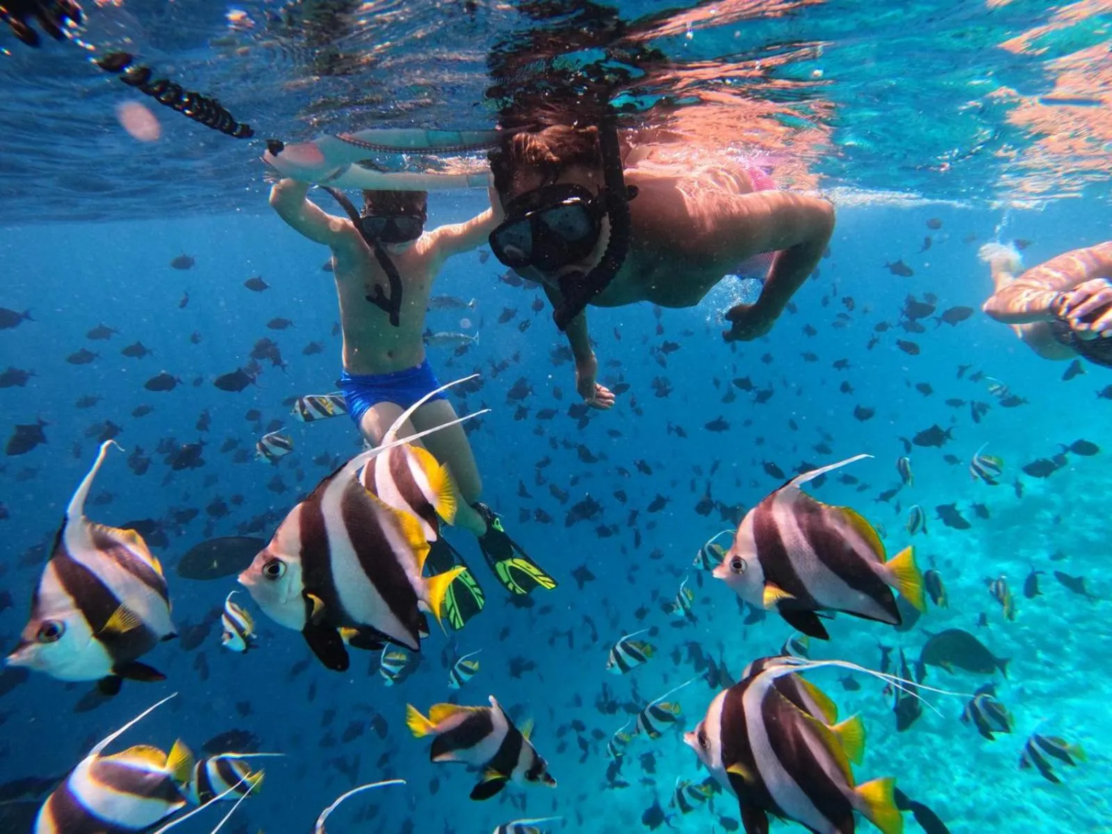 Snorkeling in Long Beach Laamu Hotel