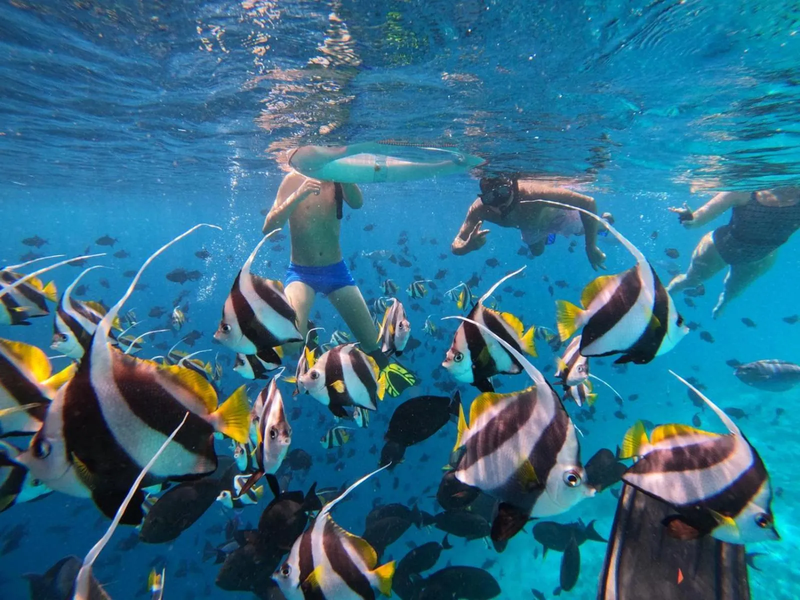 Snorkeling in Long Beach Laamu Hotel