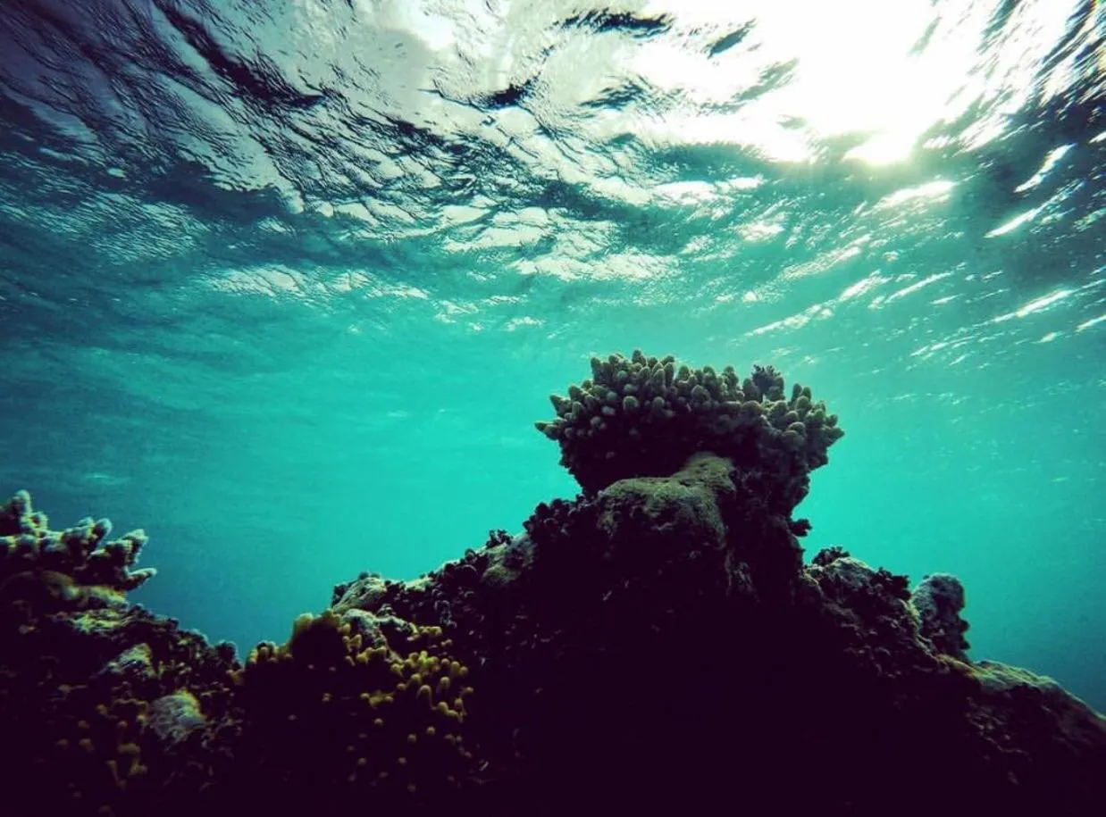 Snorkeling in Long Beach Laamu Hotel