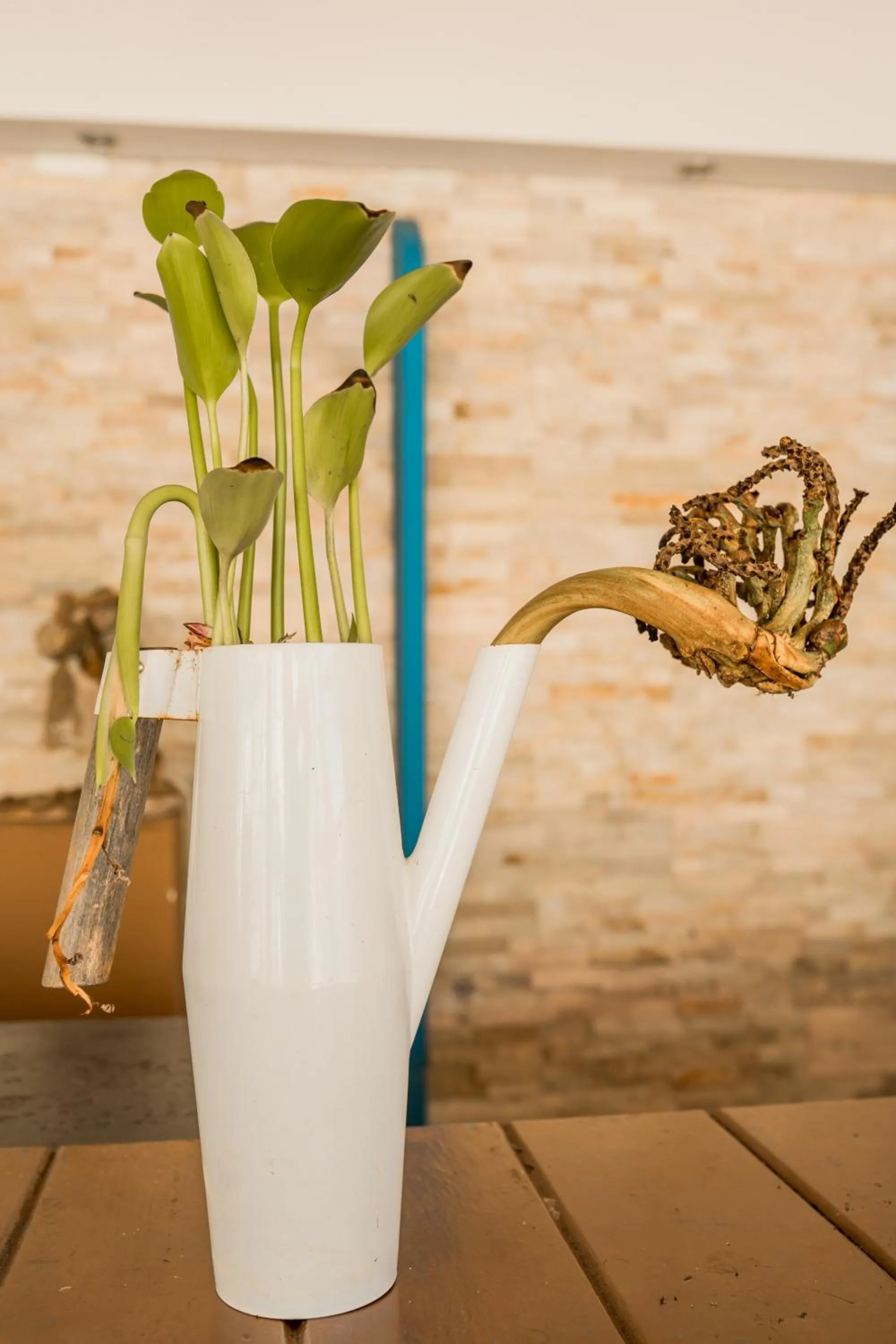 Long Beach Laamu Hotel