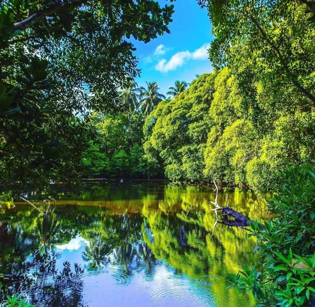 Long Beach Laamu Hotel