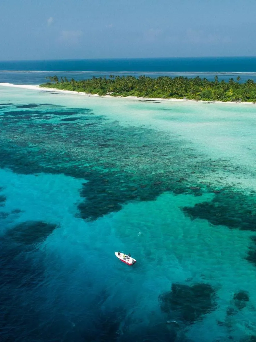 Snorkeling in Long Beach Laamu Hotel