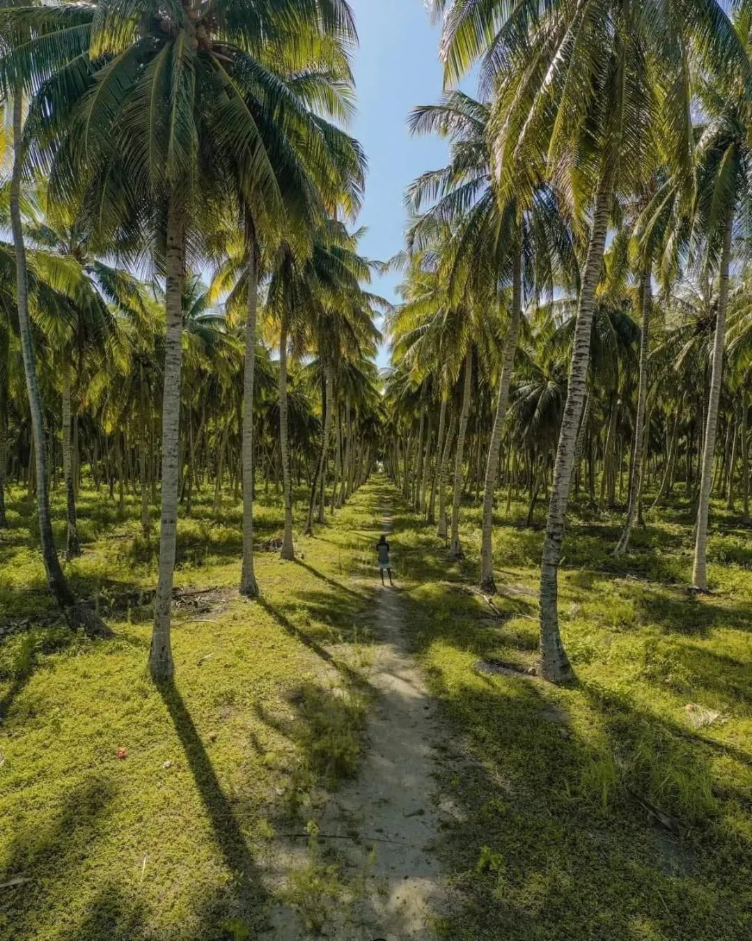 Long Beach Laamu Hotel