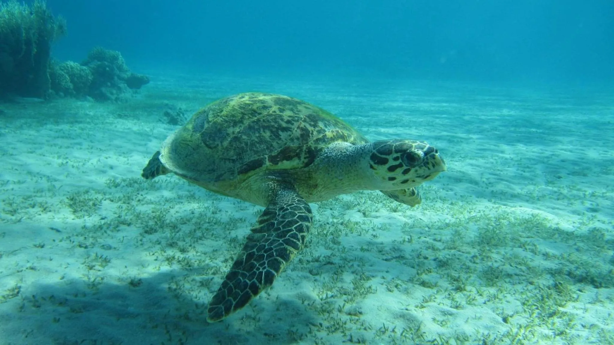 Long Beach Laamu Hotel