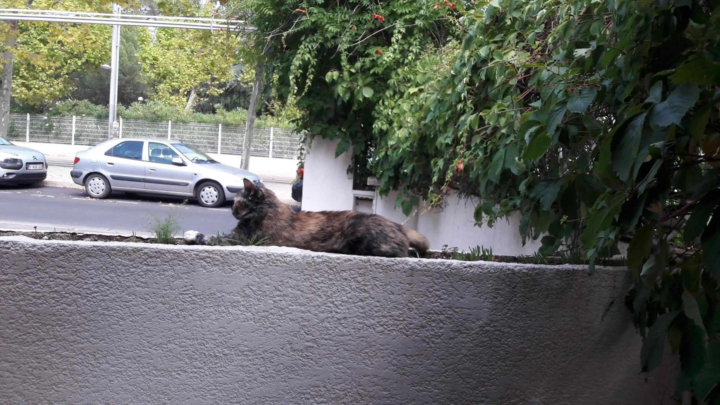 Property building in Hotel les Troenes