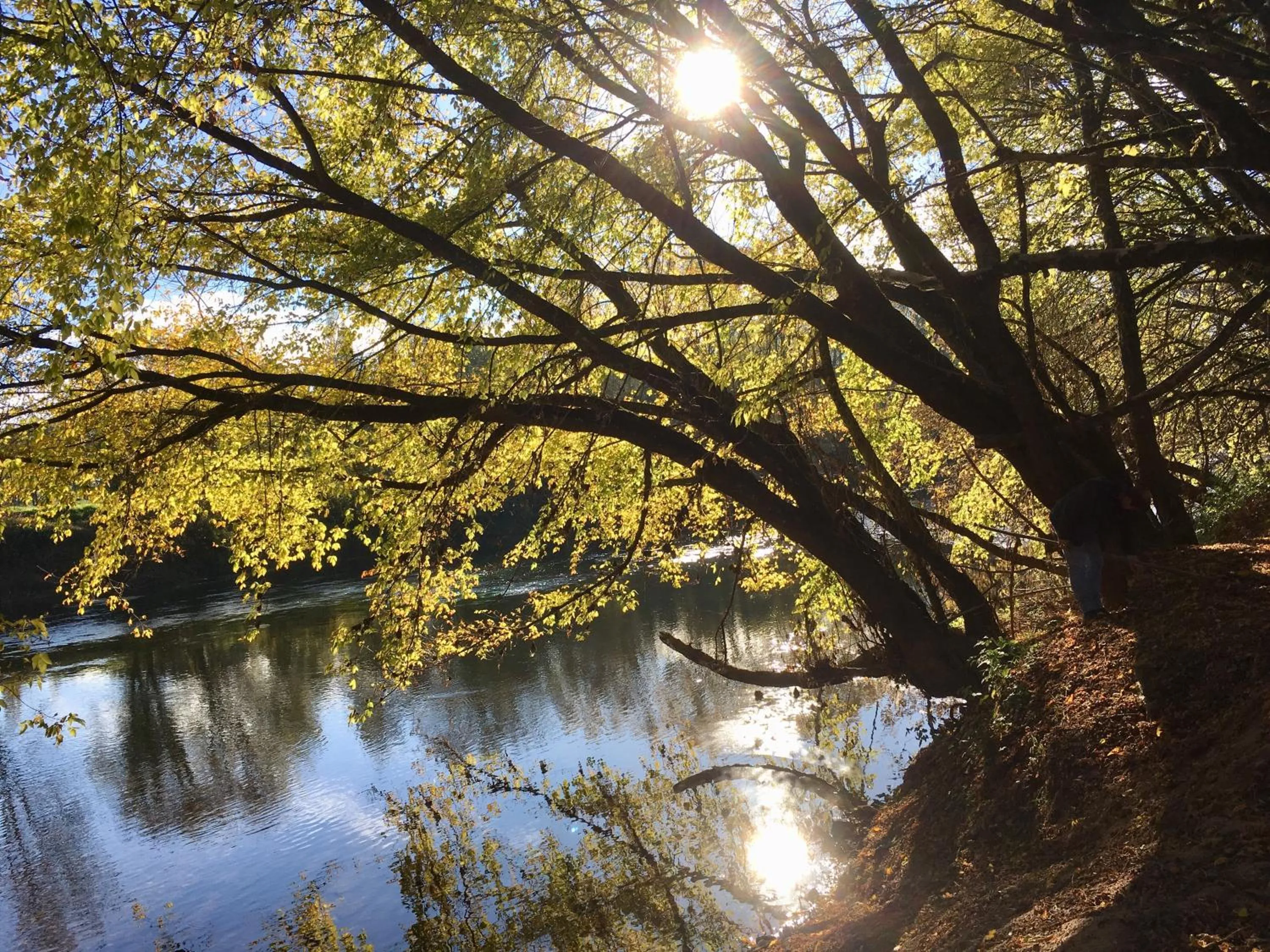 Natural landscape in Le Lion D'Or en PERIGORD