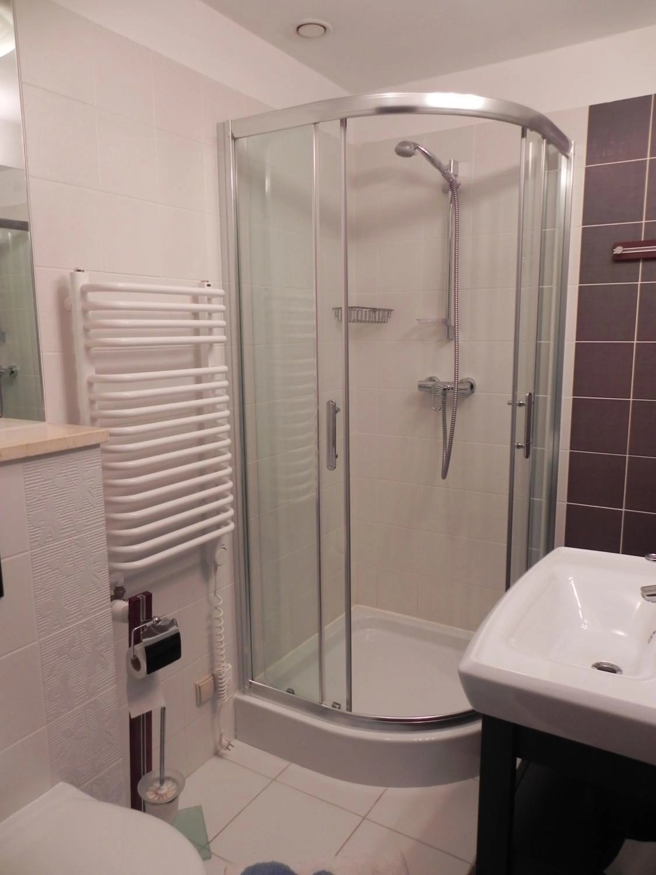 Bathroom in Apartament Brandy Radowid