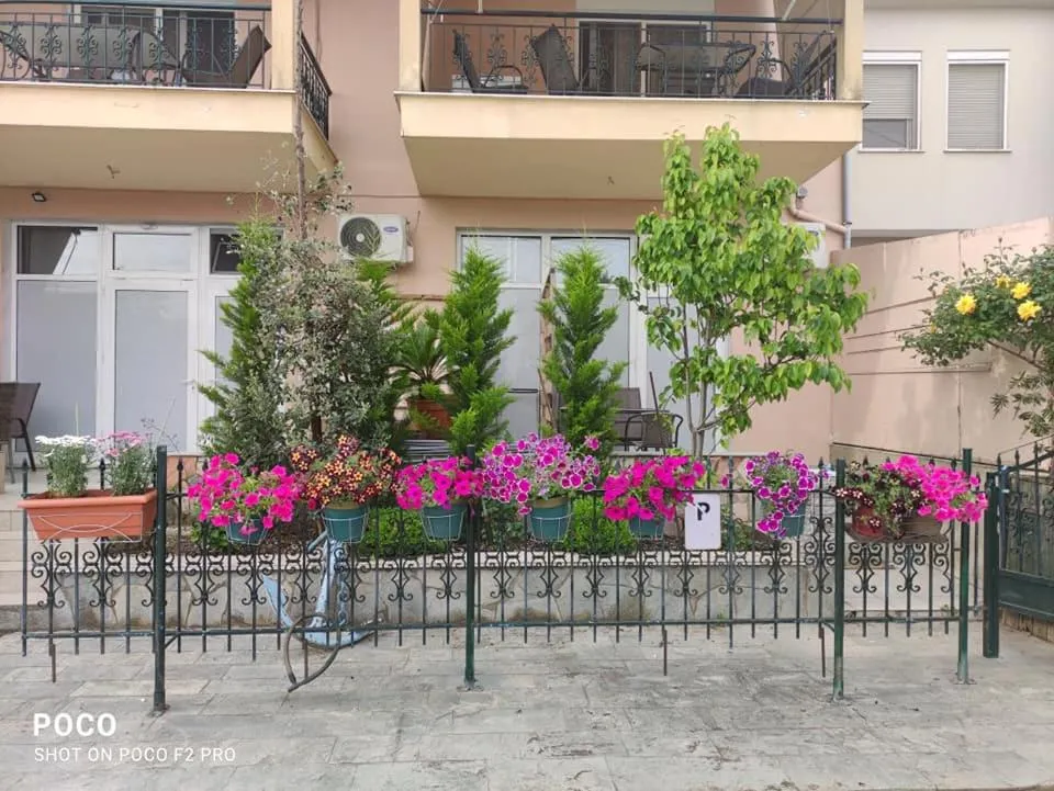 Garden in Villa Anna