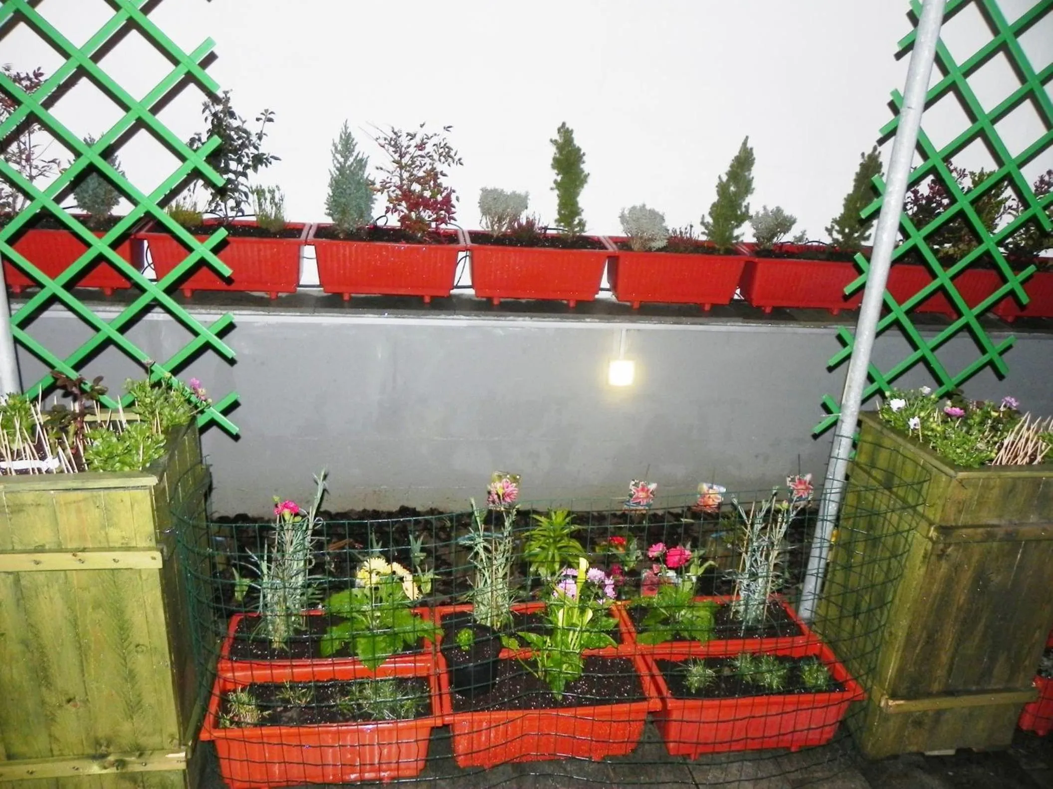 Garden in Villa Anna