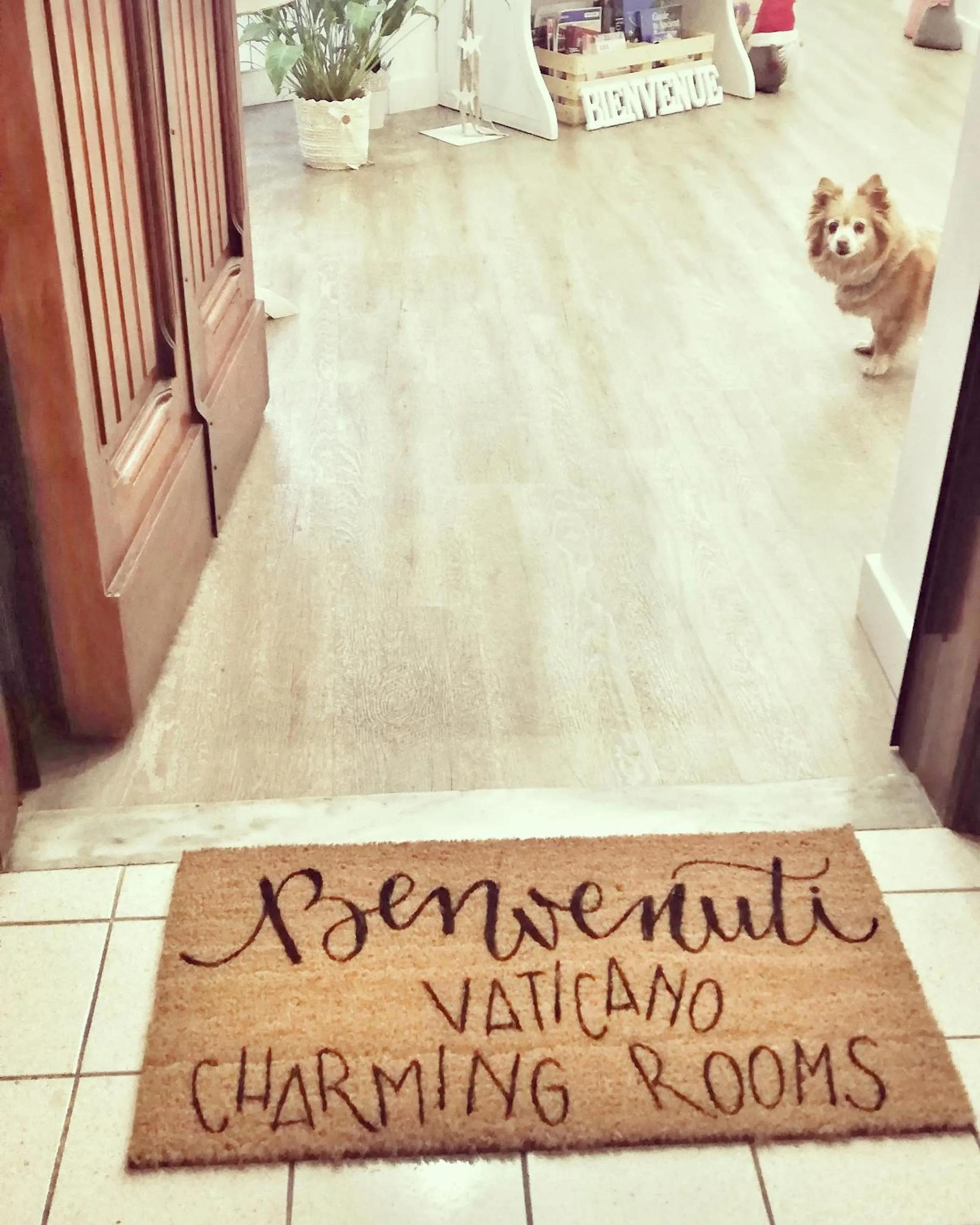 Lobby or reception in Vaticano Charming Rooms