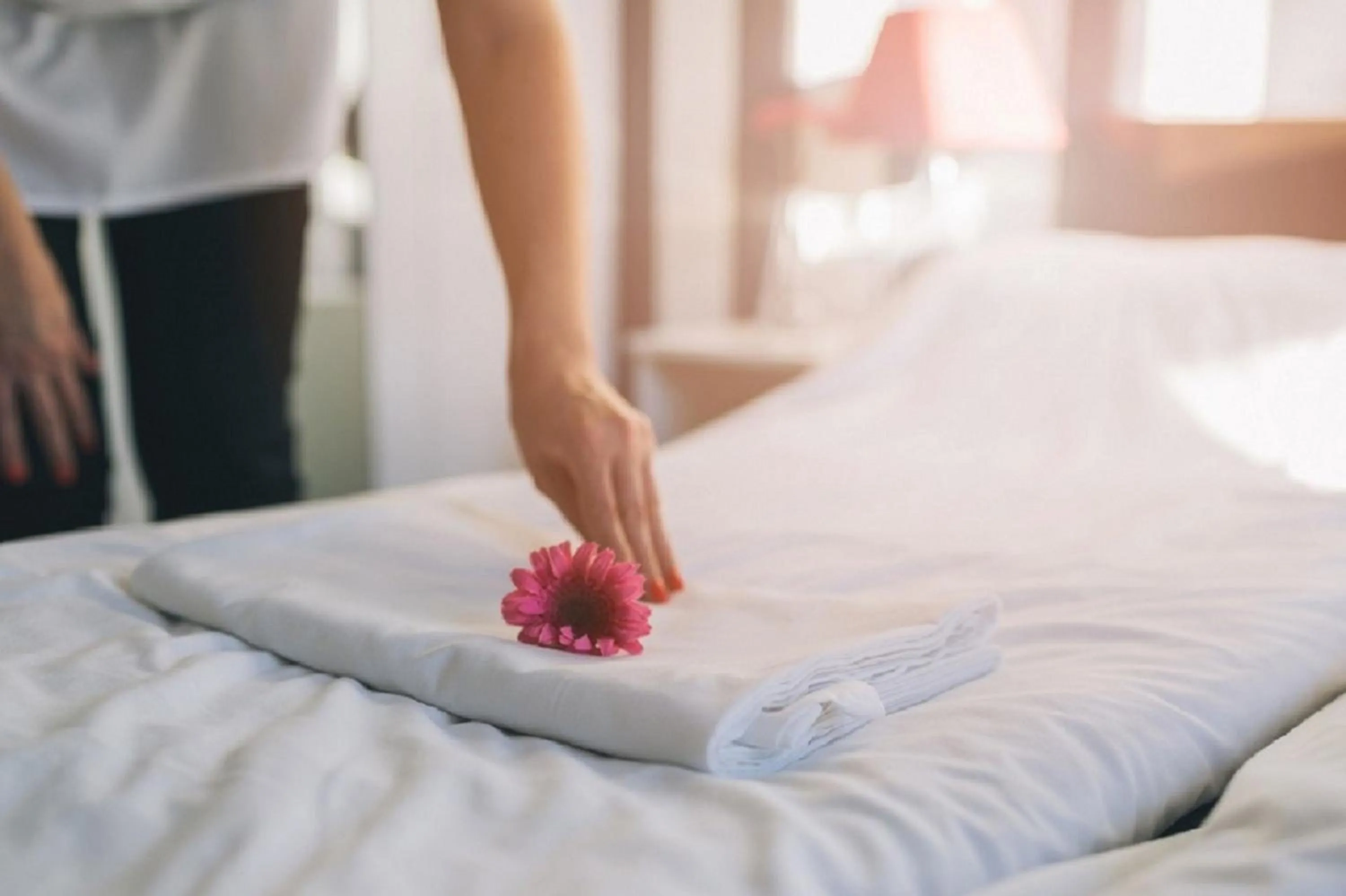 Guests, Bed in Aden City Hotel
