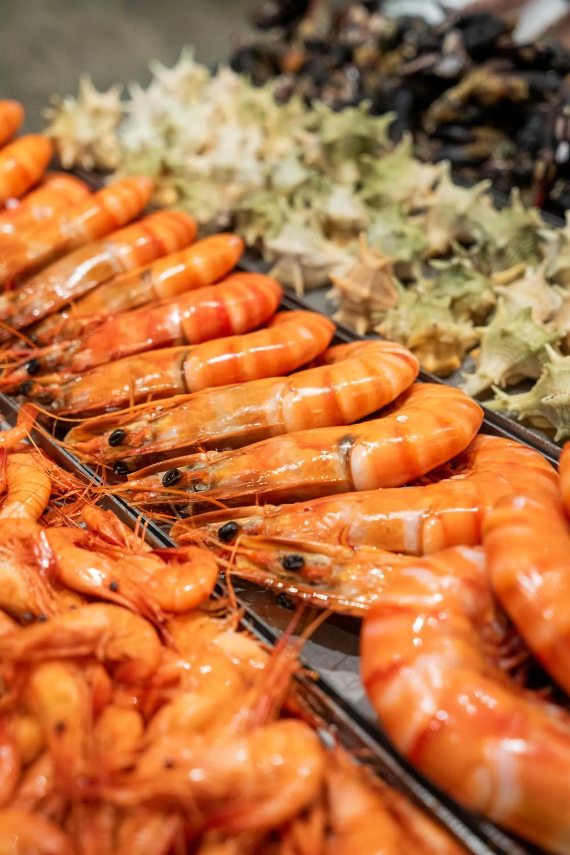 Food and drinks in Ocean Boutique Guesthouse