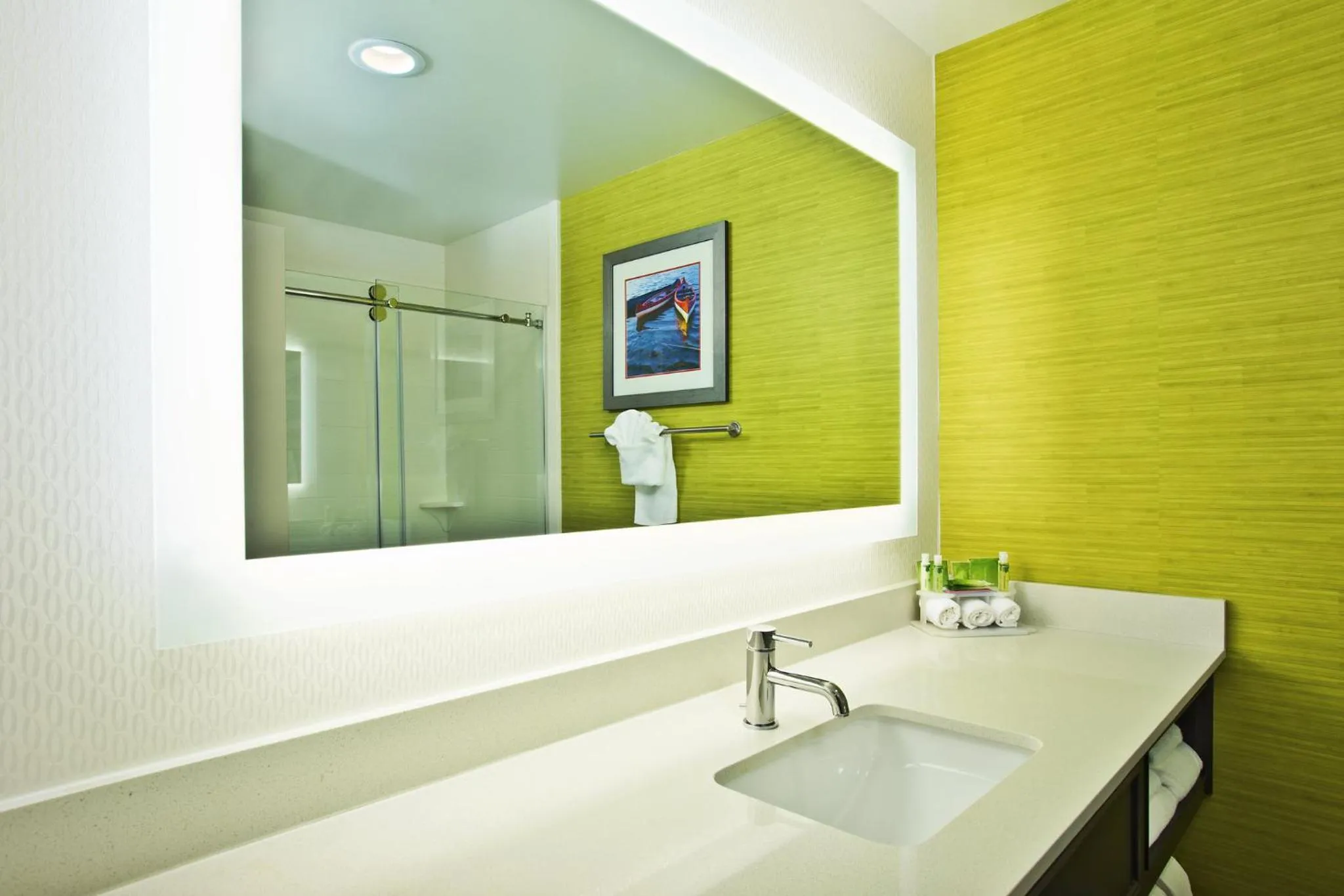 Bathroom in Holiday Inn Express Hotel & Suites Ann Arbor West by IHG
