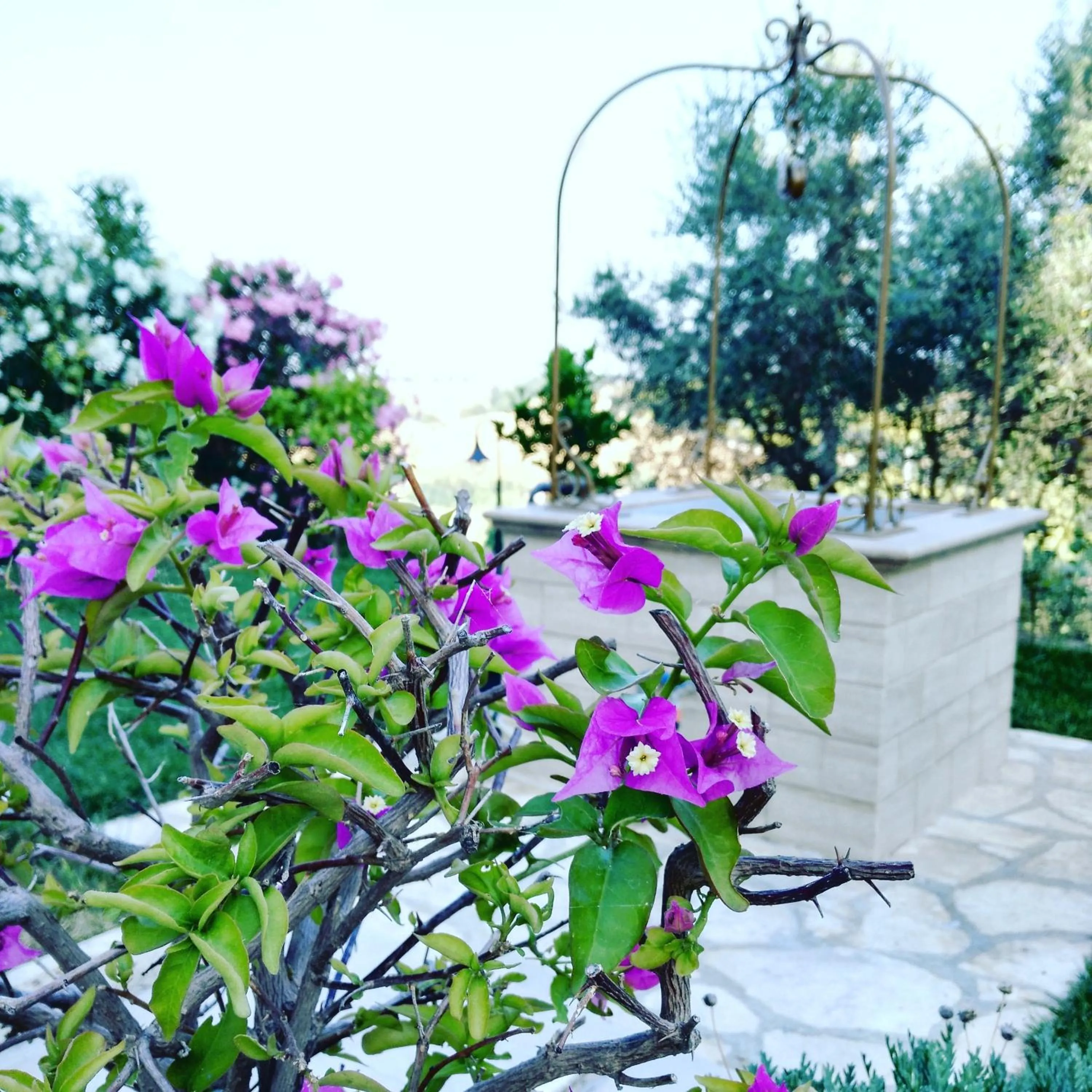 Property building, Garden in B&B Le Dive