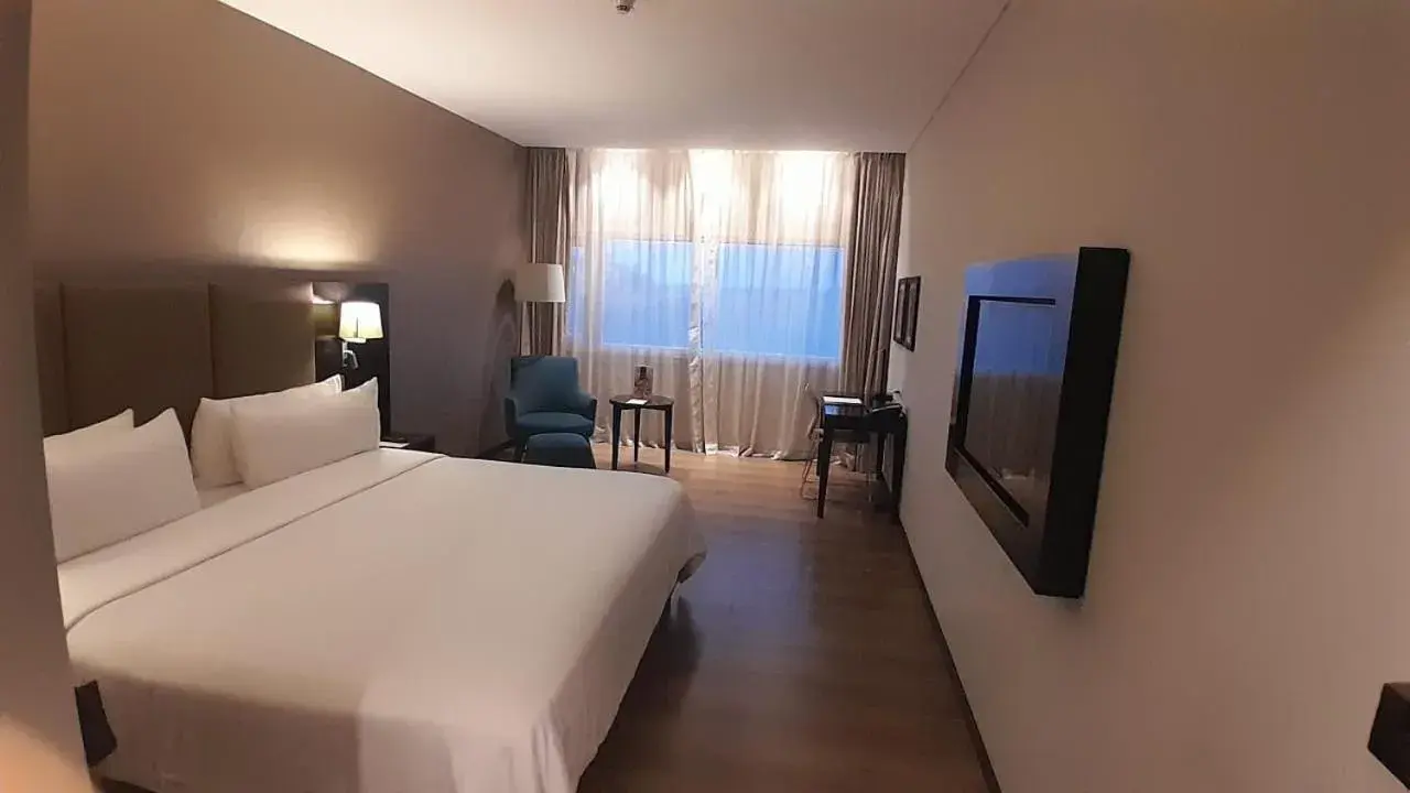 Hotel Radisson Hotel Radisson