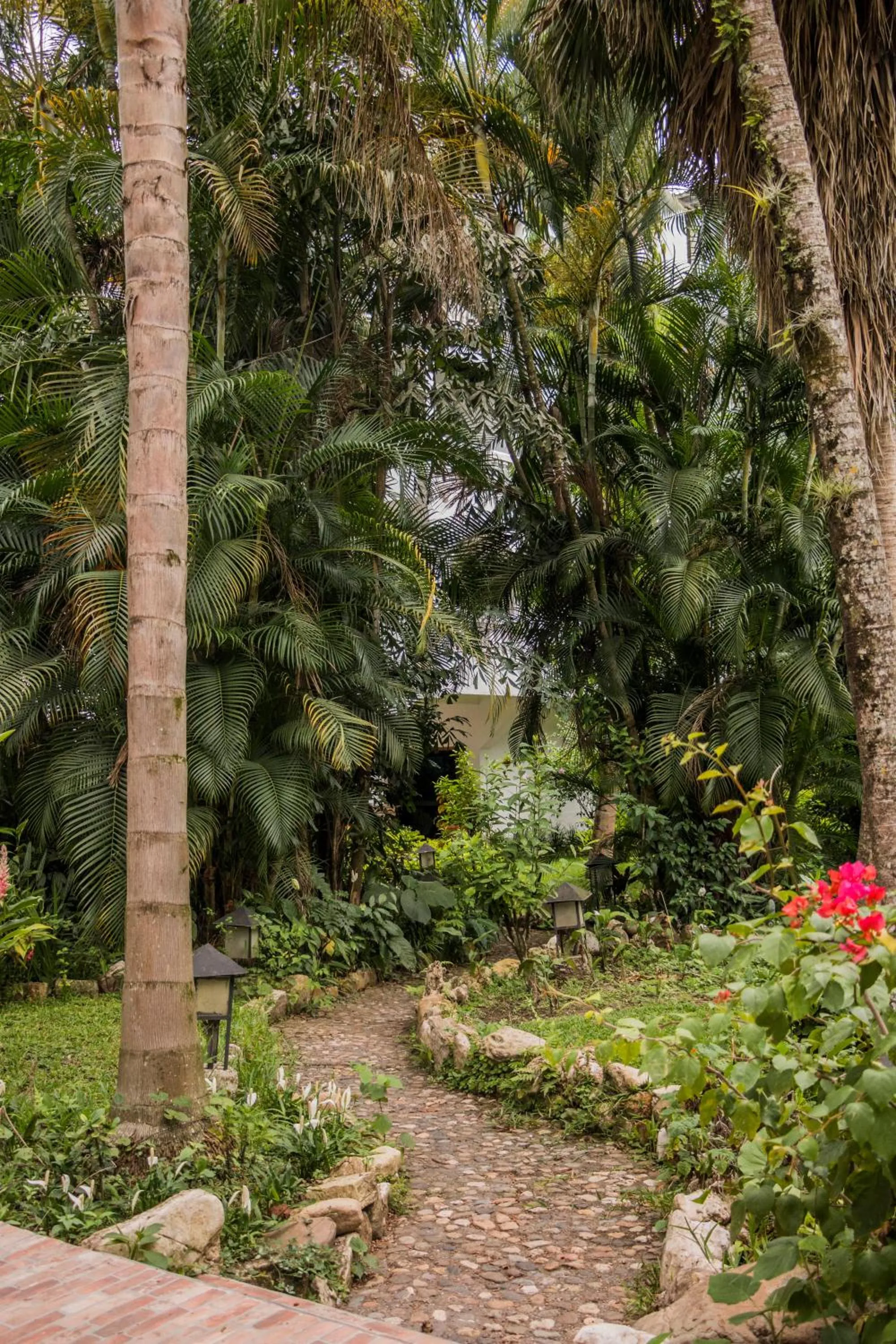 Garden in Hotel Ciudad Blanca