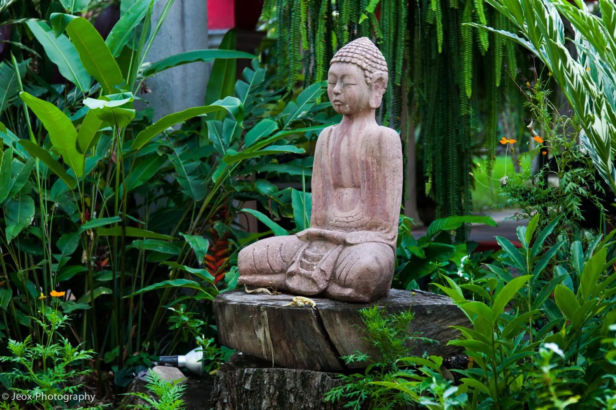 Business facilities in Hotel Ciudad Blanca