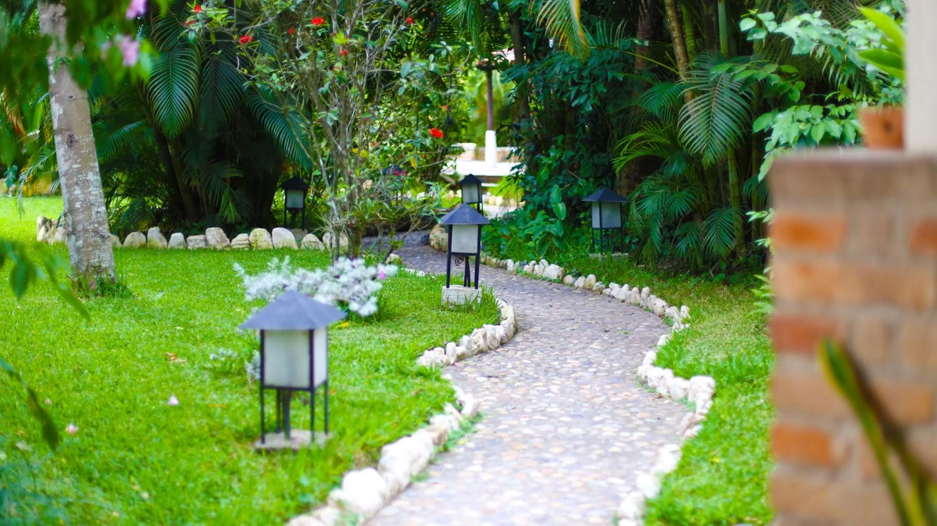 Garden in Hotel Ciudad Blanca