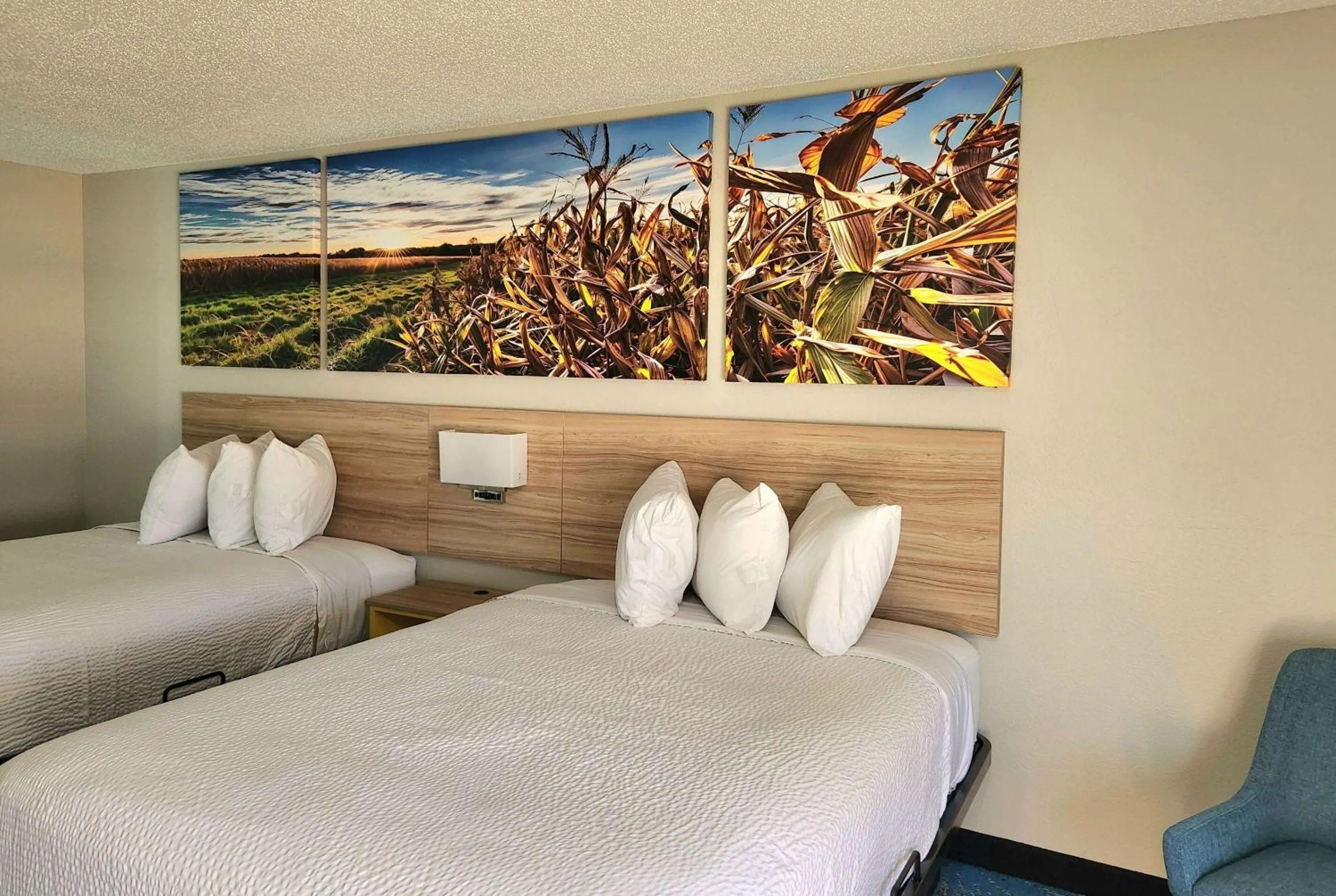 Photo of the whole room, Bed in Days Inn & Suites by Wyndham New Iberia