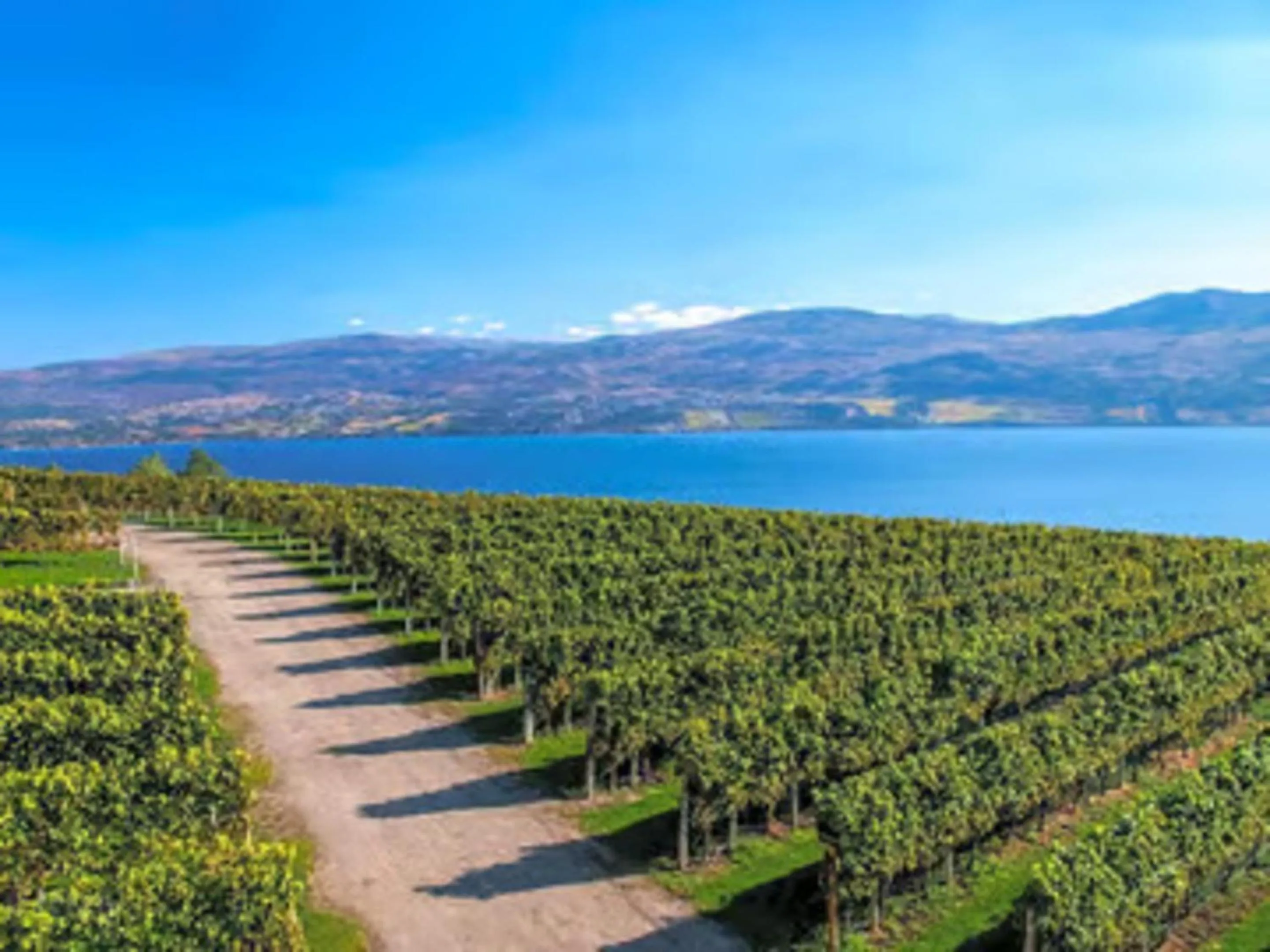 Nearby landmark in Studio 6 Gonzales, TX