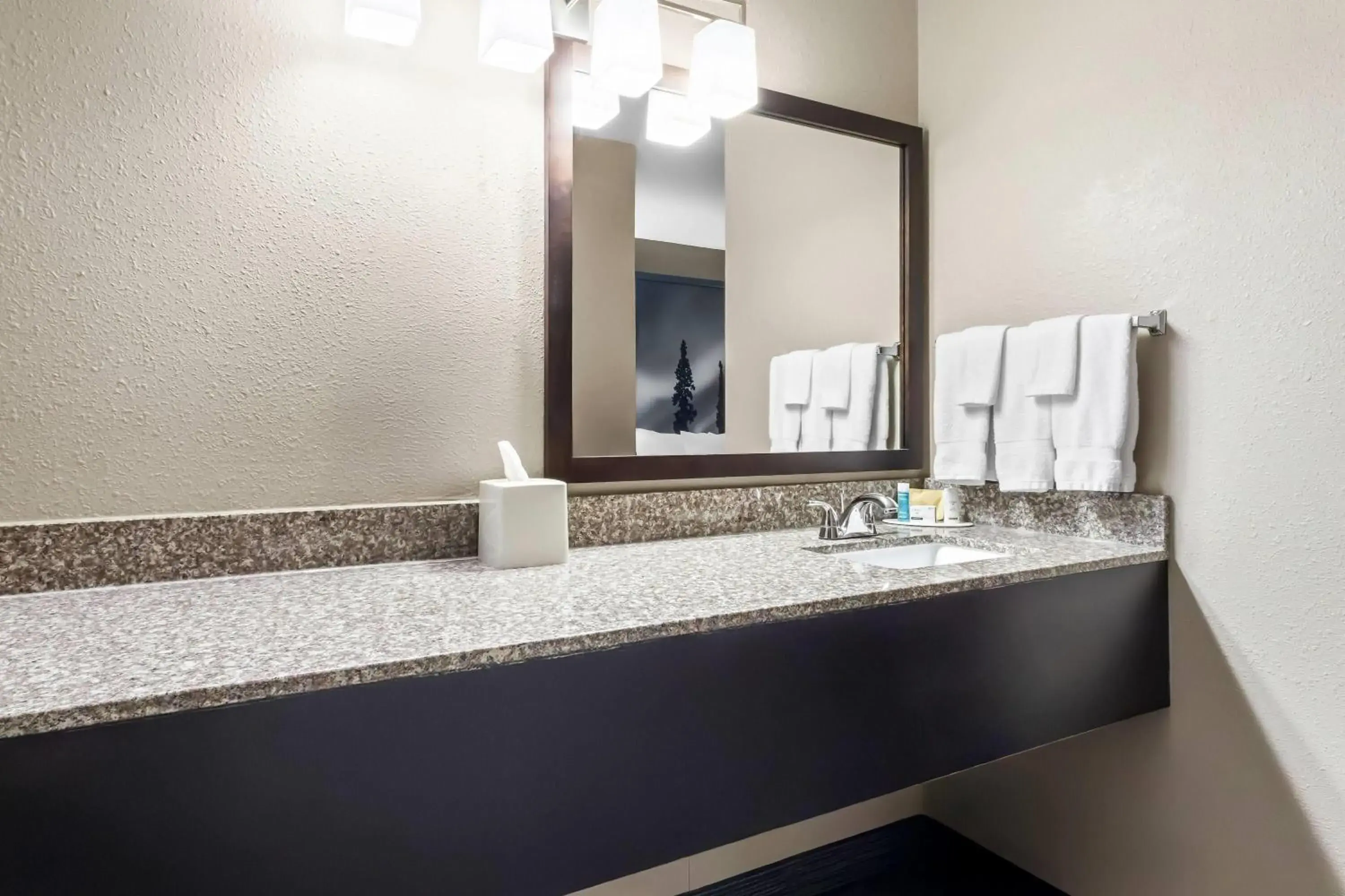 Queen Suite - Non-Smoking in Super 8 by Wyndham Prince Albert Queen Suite - Non-Smoking in Super 8 by Wyndham Prince Albert