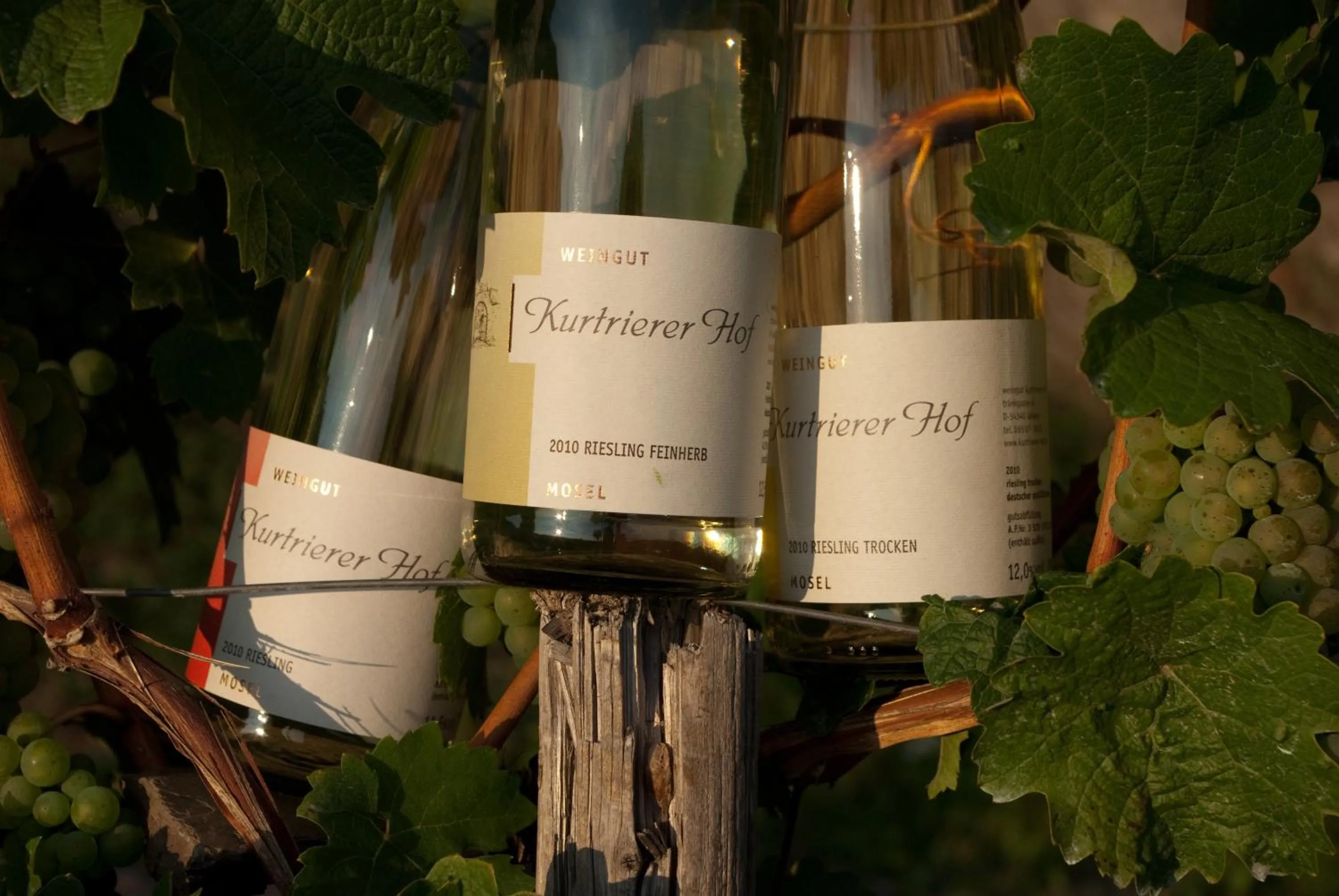 Alcoholic drinks in Weinhaus Kurtrierer Hof