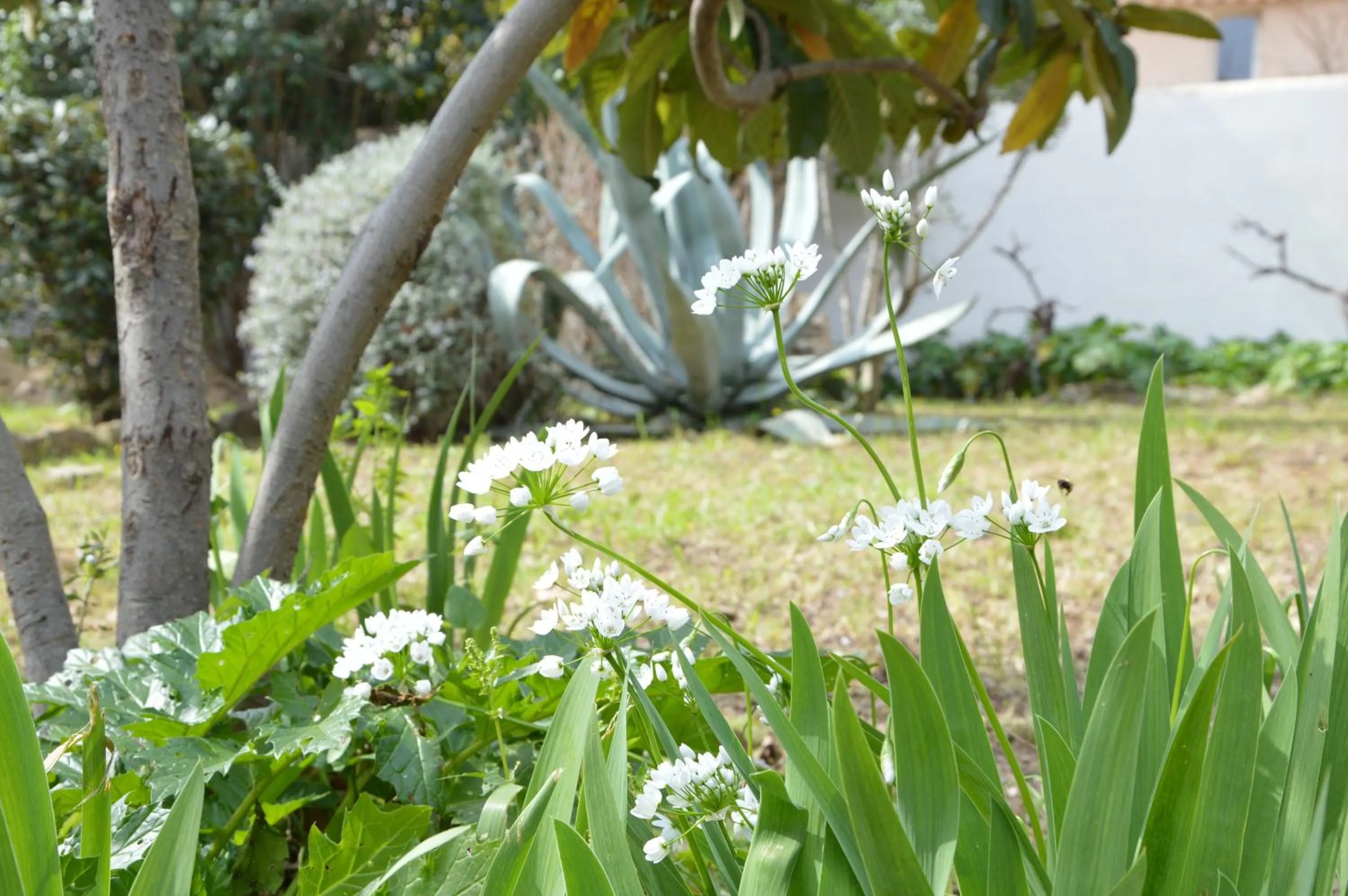 Day in Villa Maredda