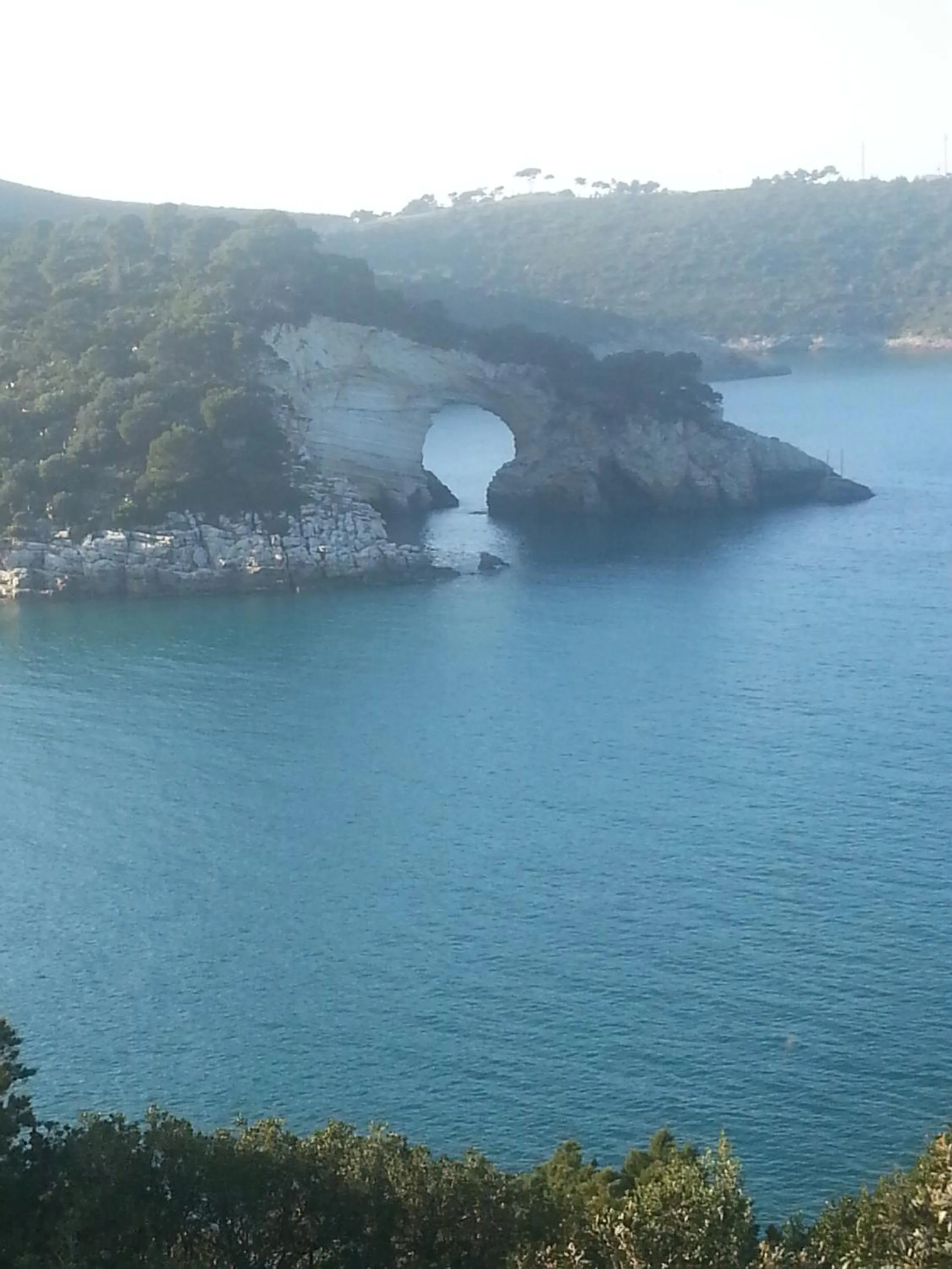 Nearby landmark in Hotel Pegaso