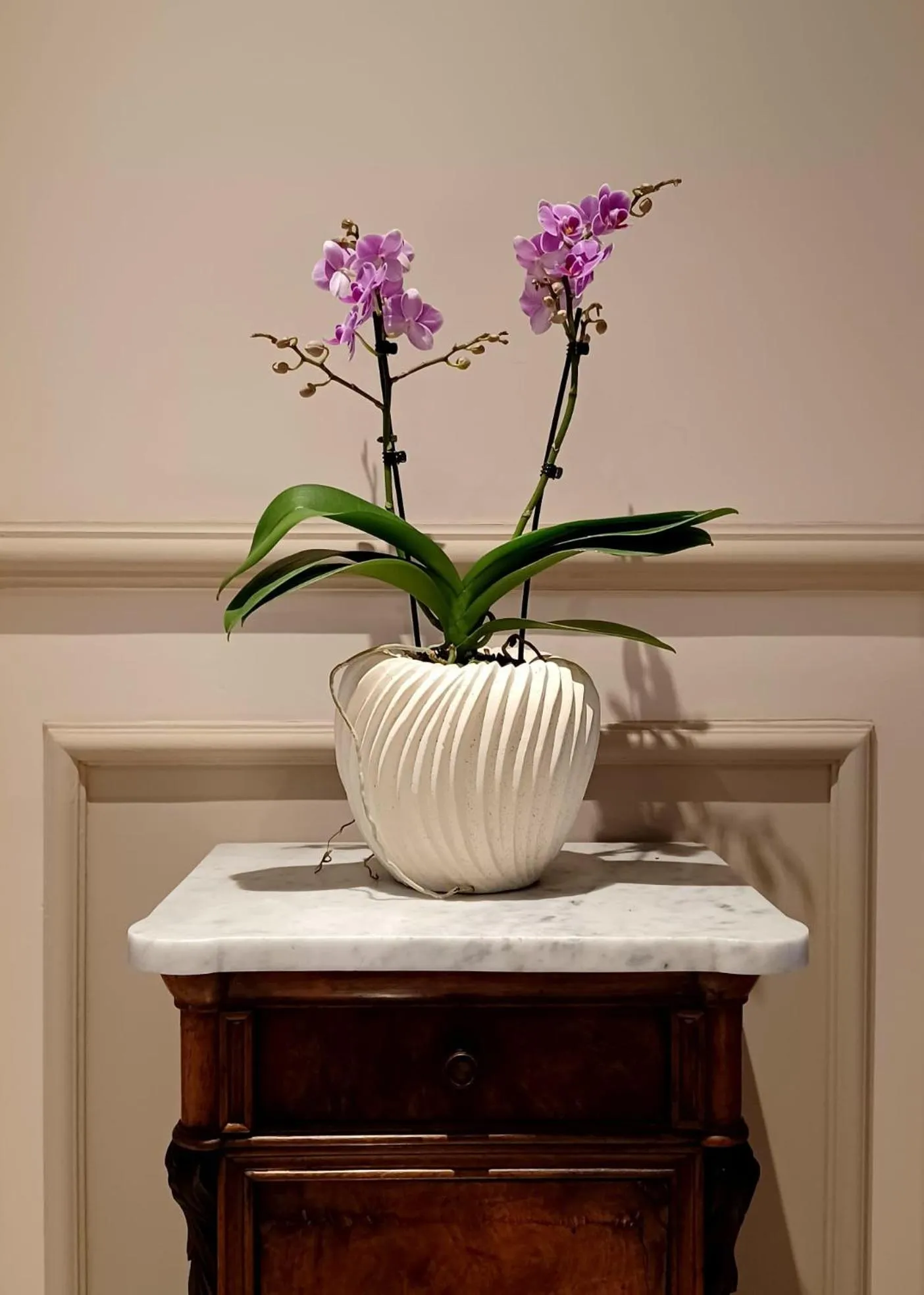 Lobby or reception in Hotel Ariston