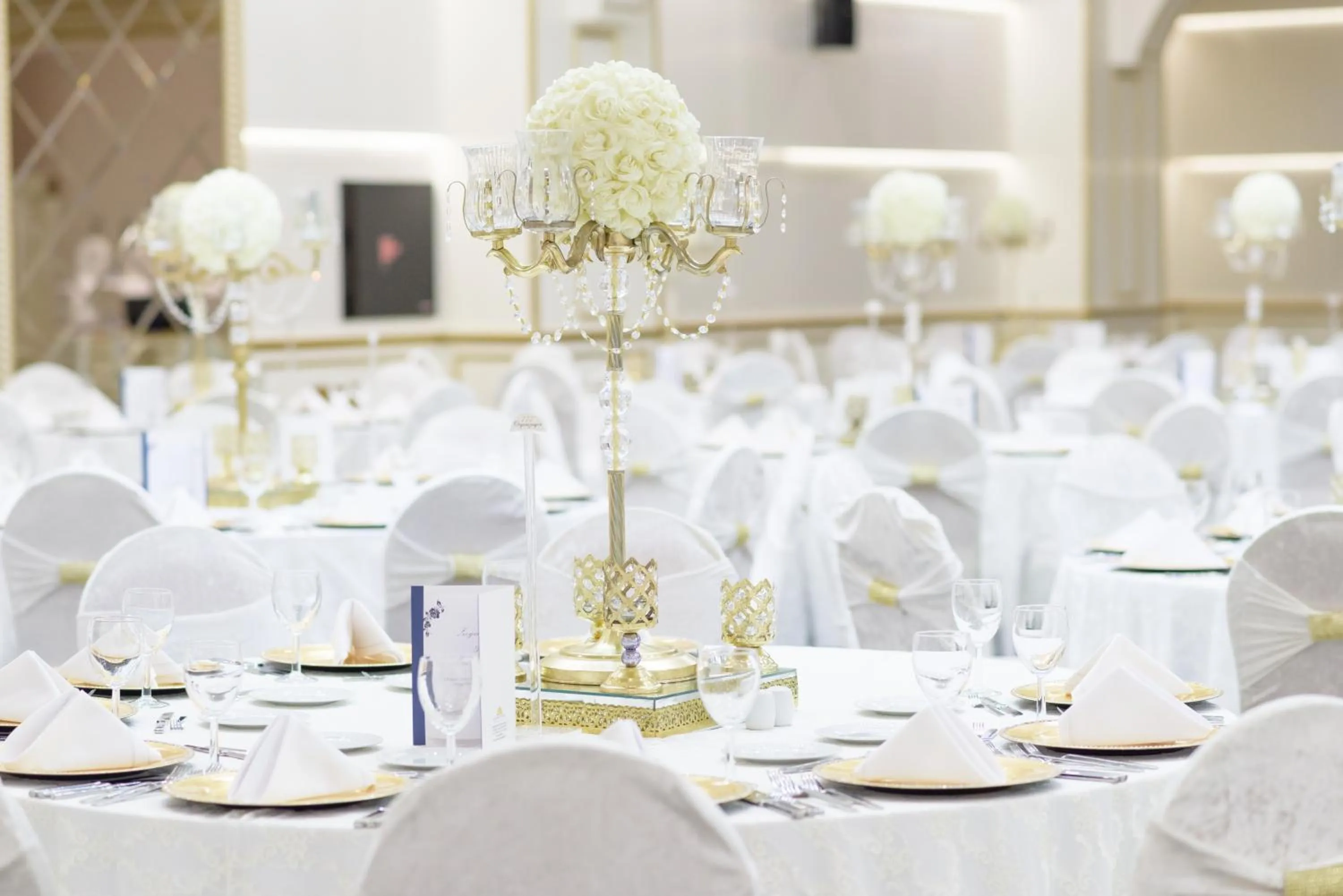 Banquet/Function facilities, Banquet Facilities in Grand Mercure Ankara
