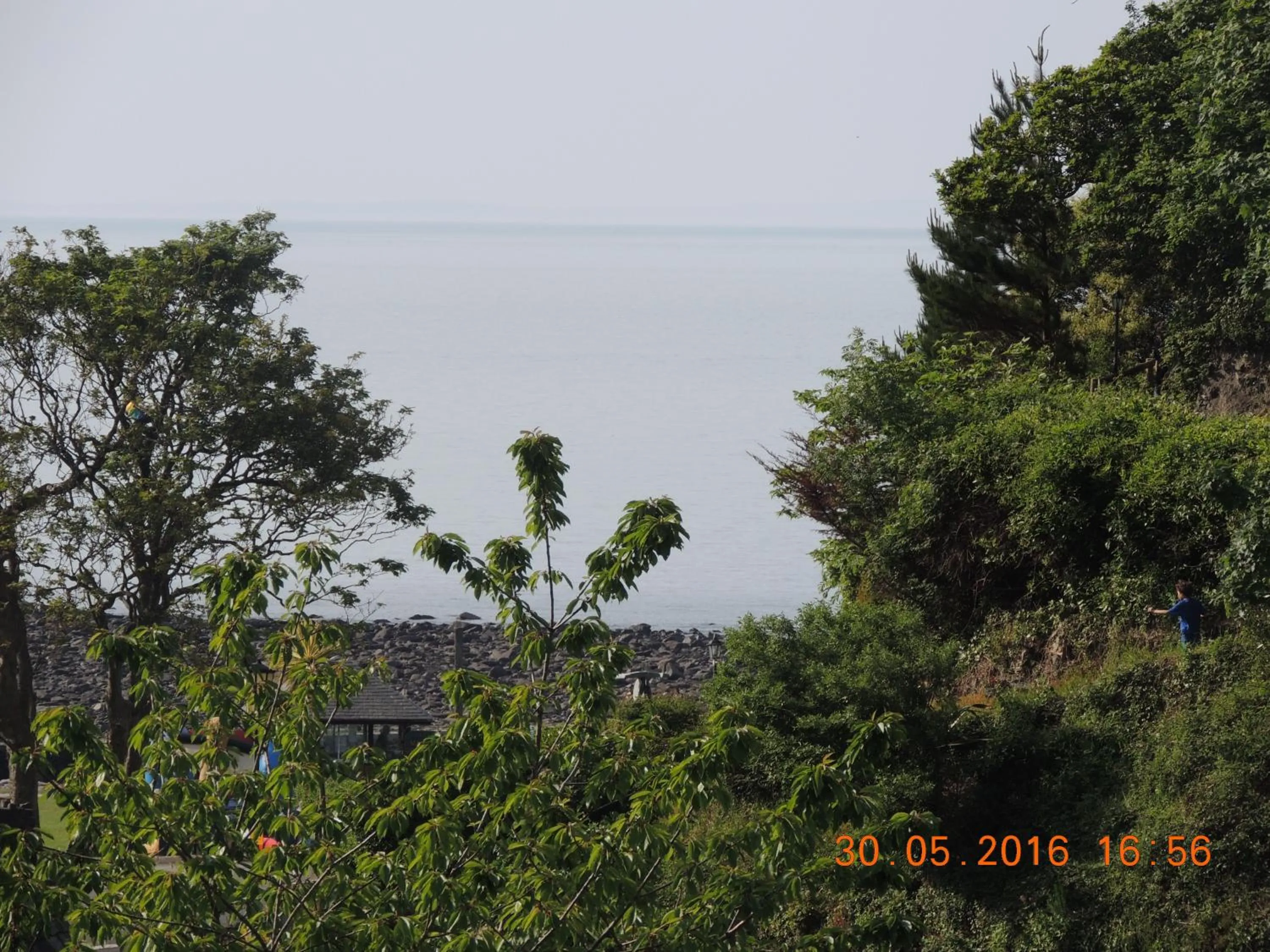 Sea view in Orchard House Hotel