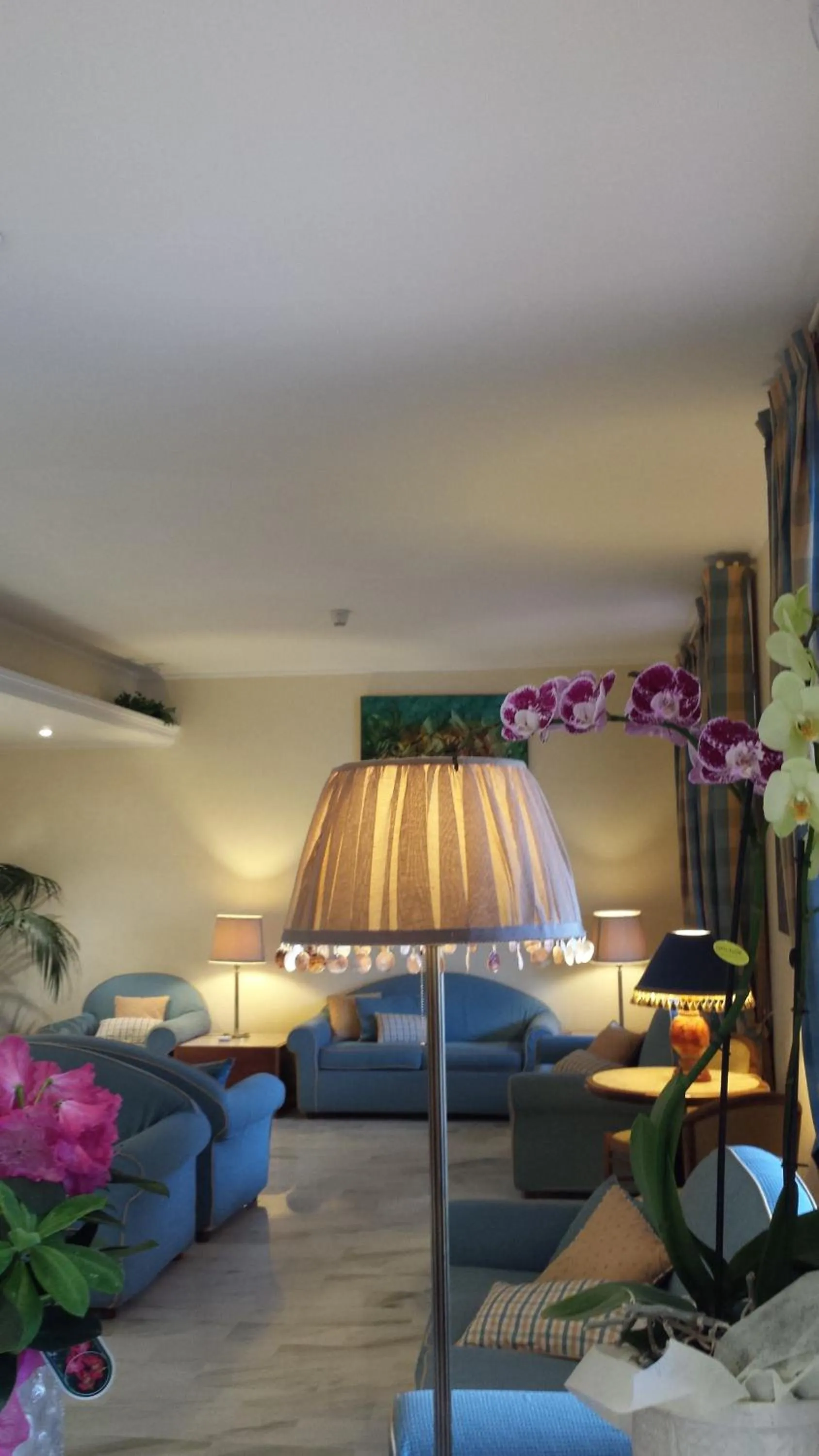 Communal lounge/ TV room, Bed in Hotel Splendid