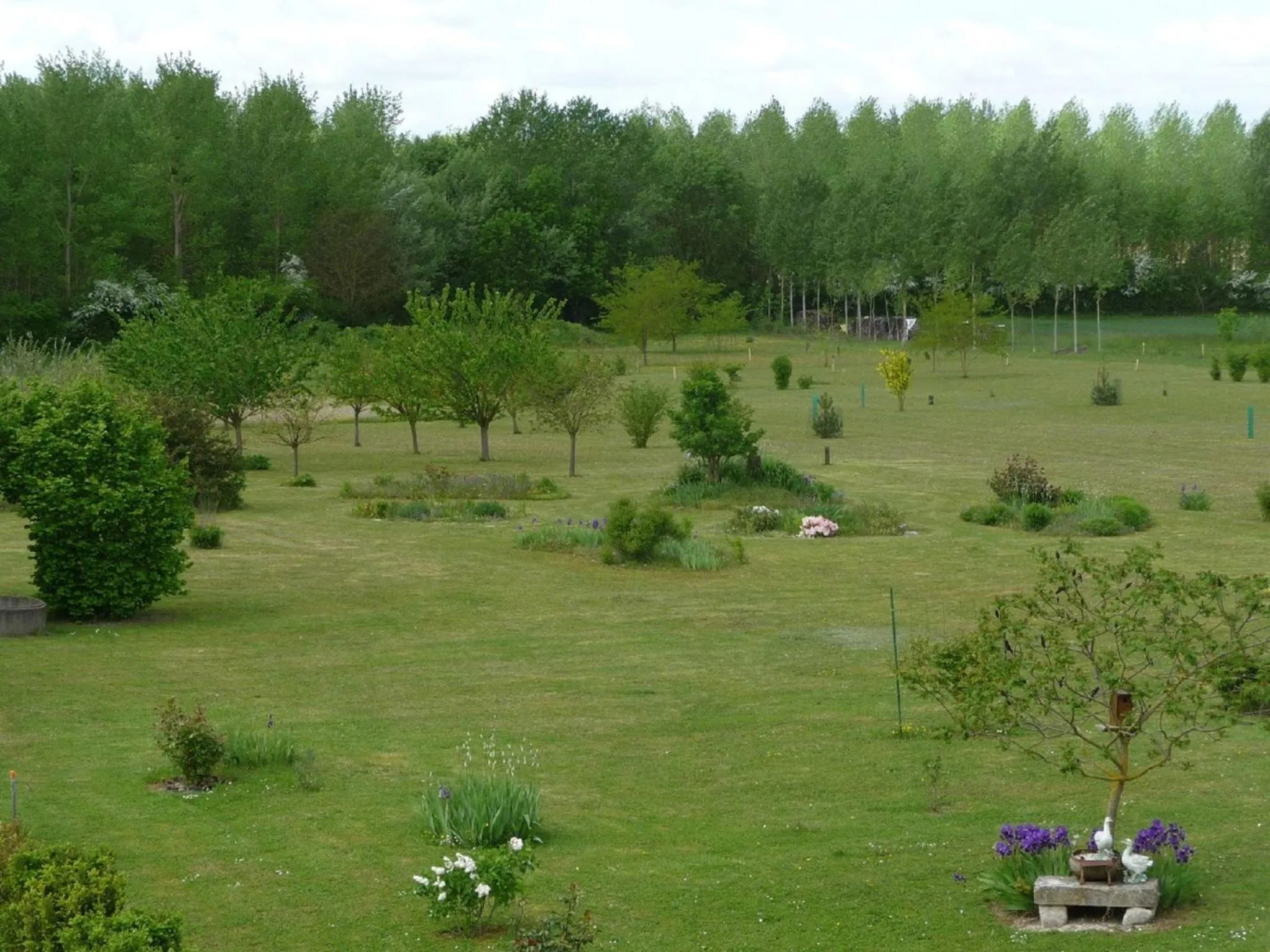 Day in Ome sweet home