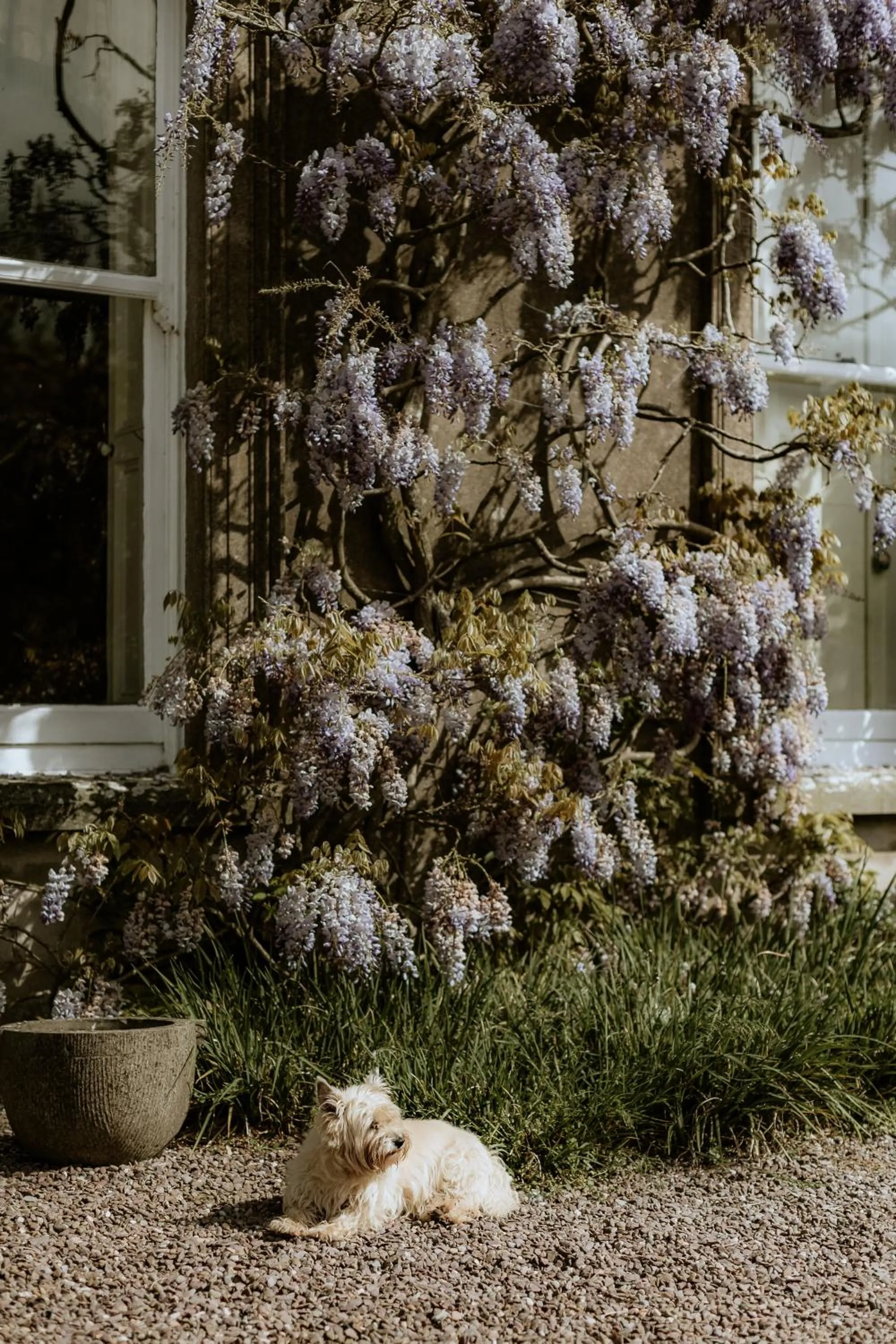 Garden in Ballyvolane House