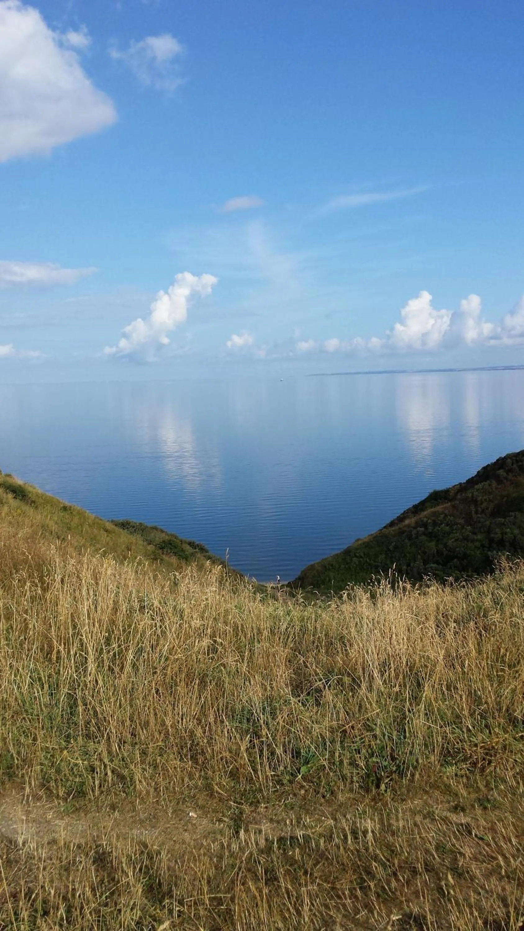 Natural landscape in Toftum Bjerge Camping & Cottages
