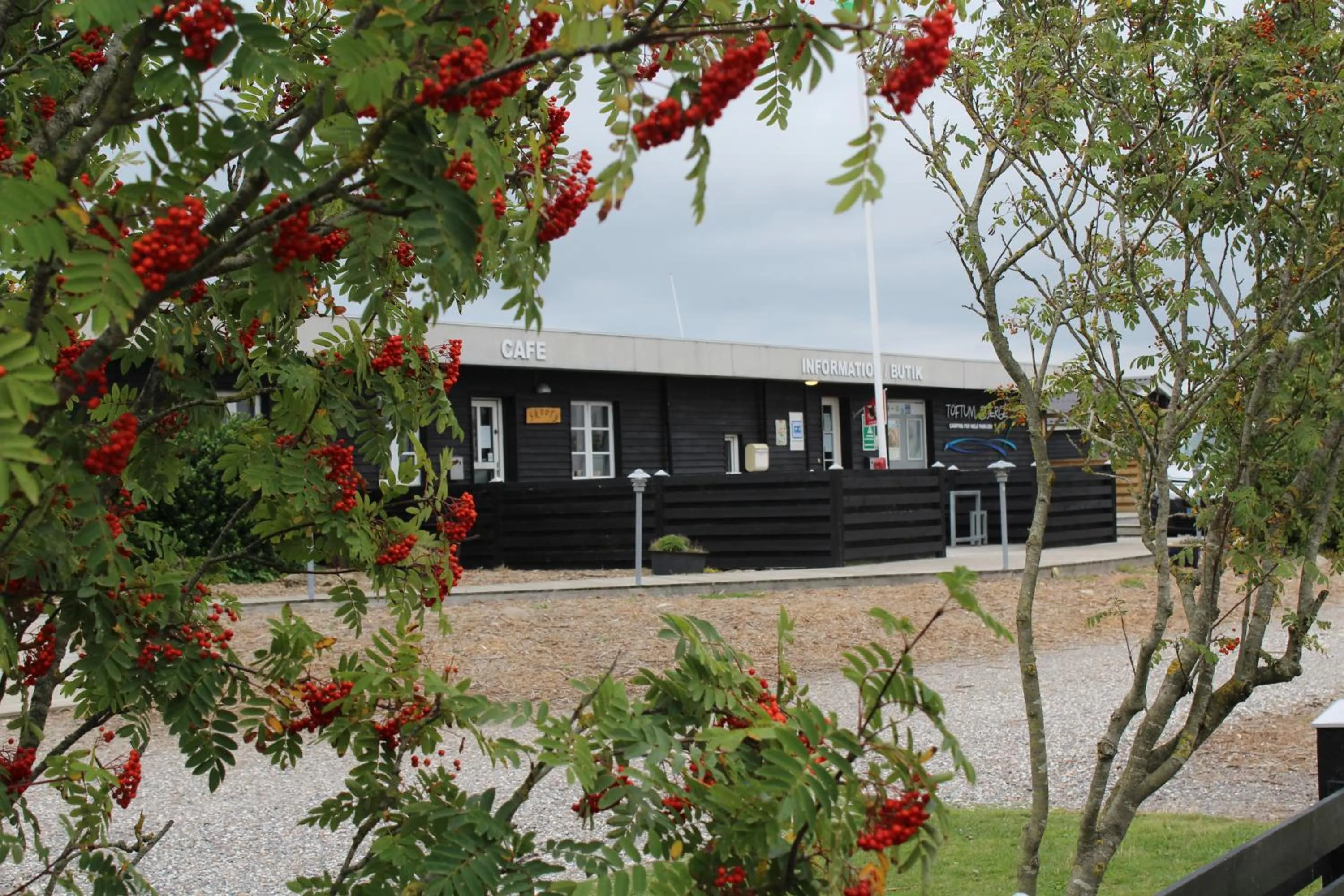 Facade/entrance in Toftum Bjerge Camping & Cottages