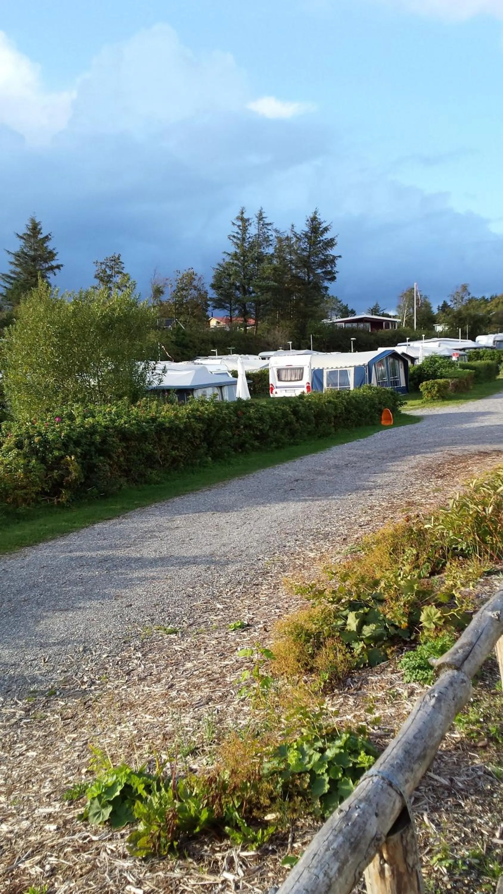 Natural landscape in Toftum Bjerge Camping & Cottages