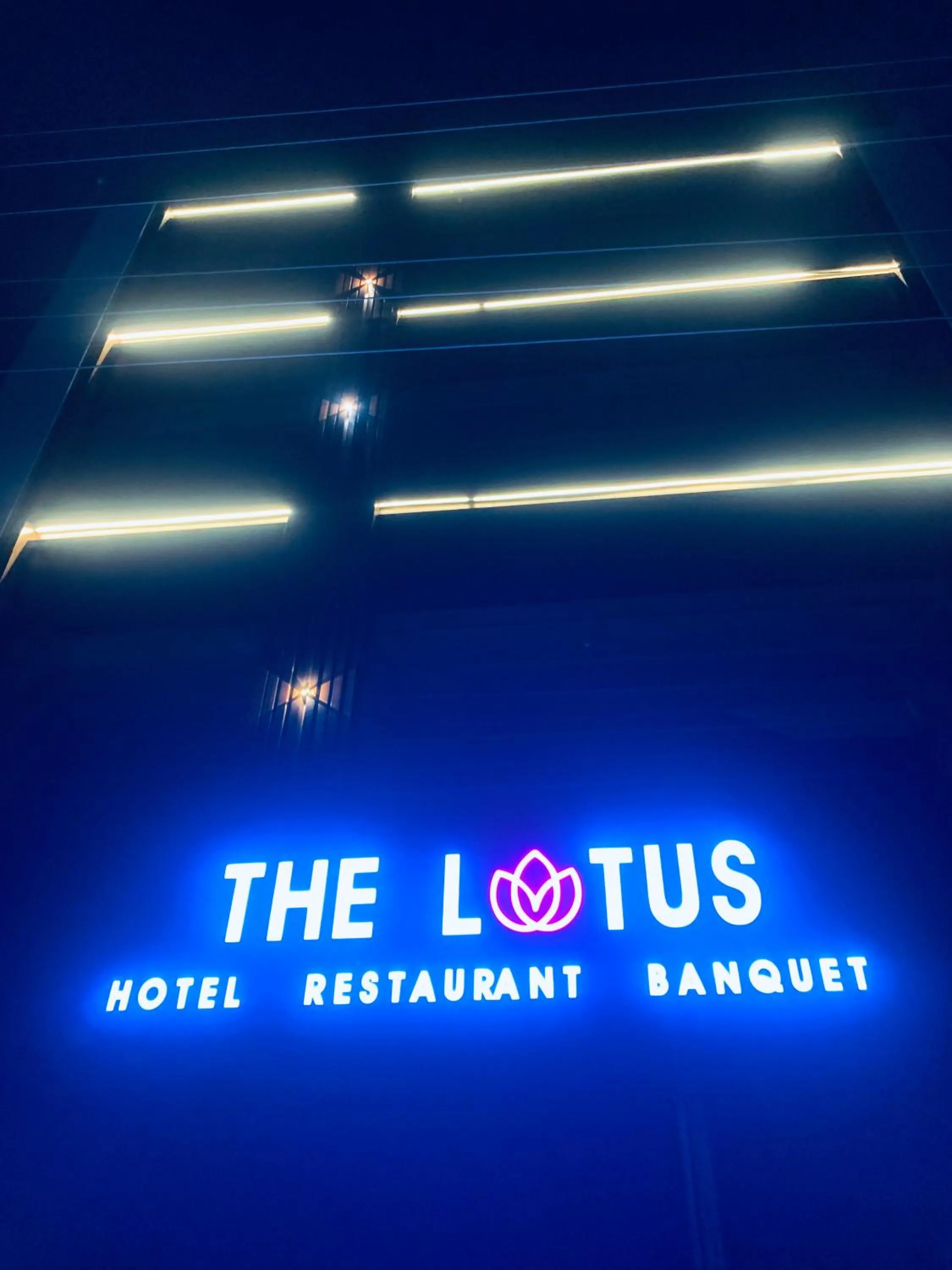 Night in Hotel The Lotus