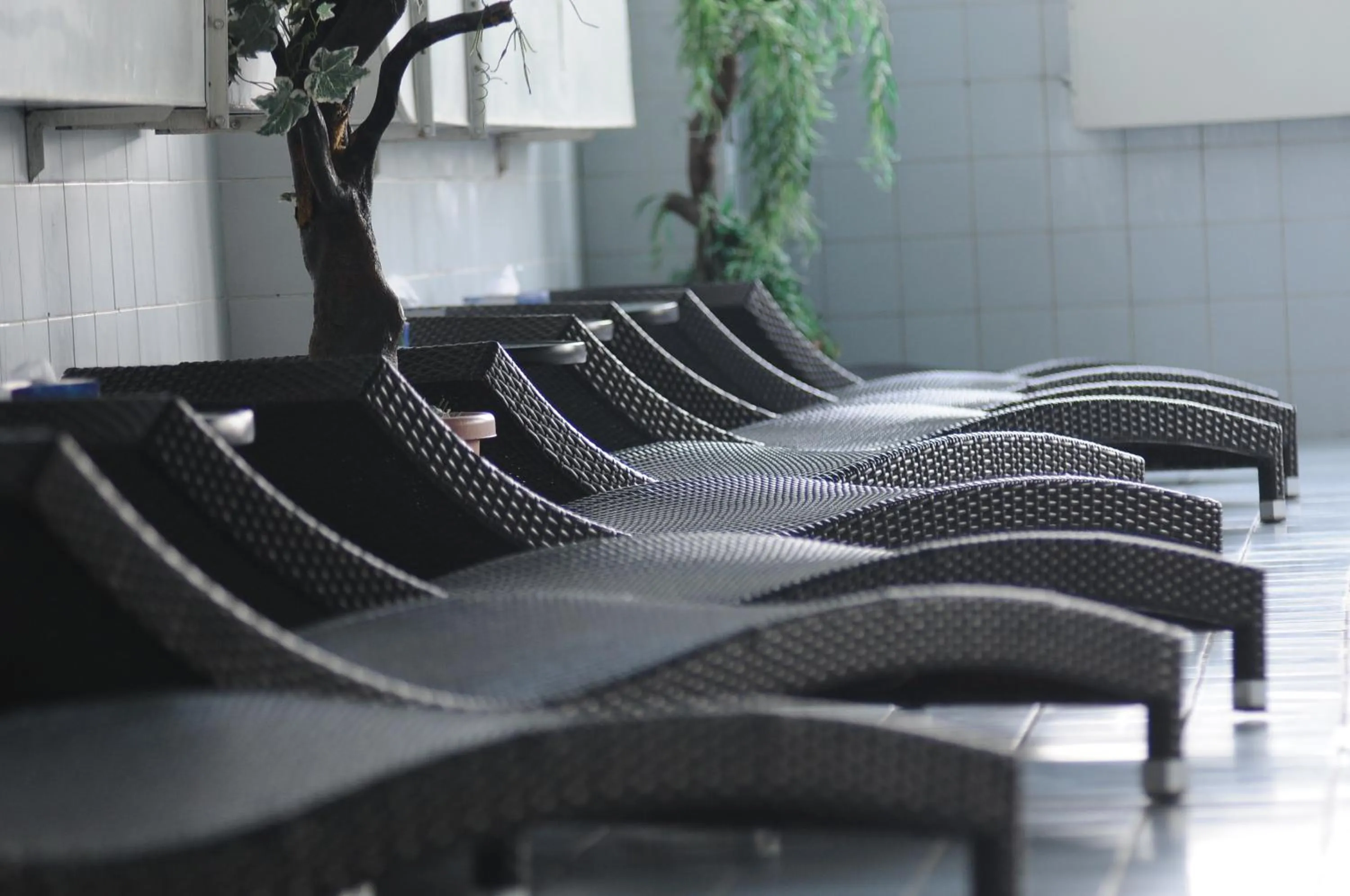 Activities in Cross Apartments and Tours